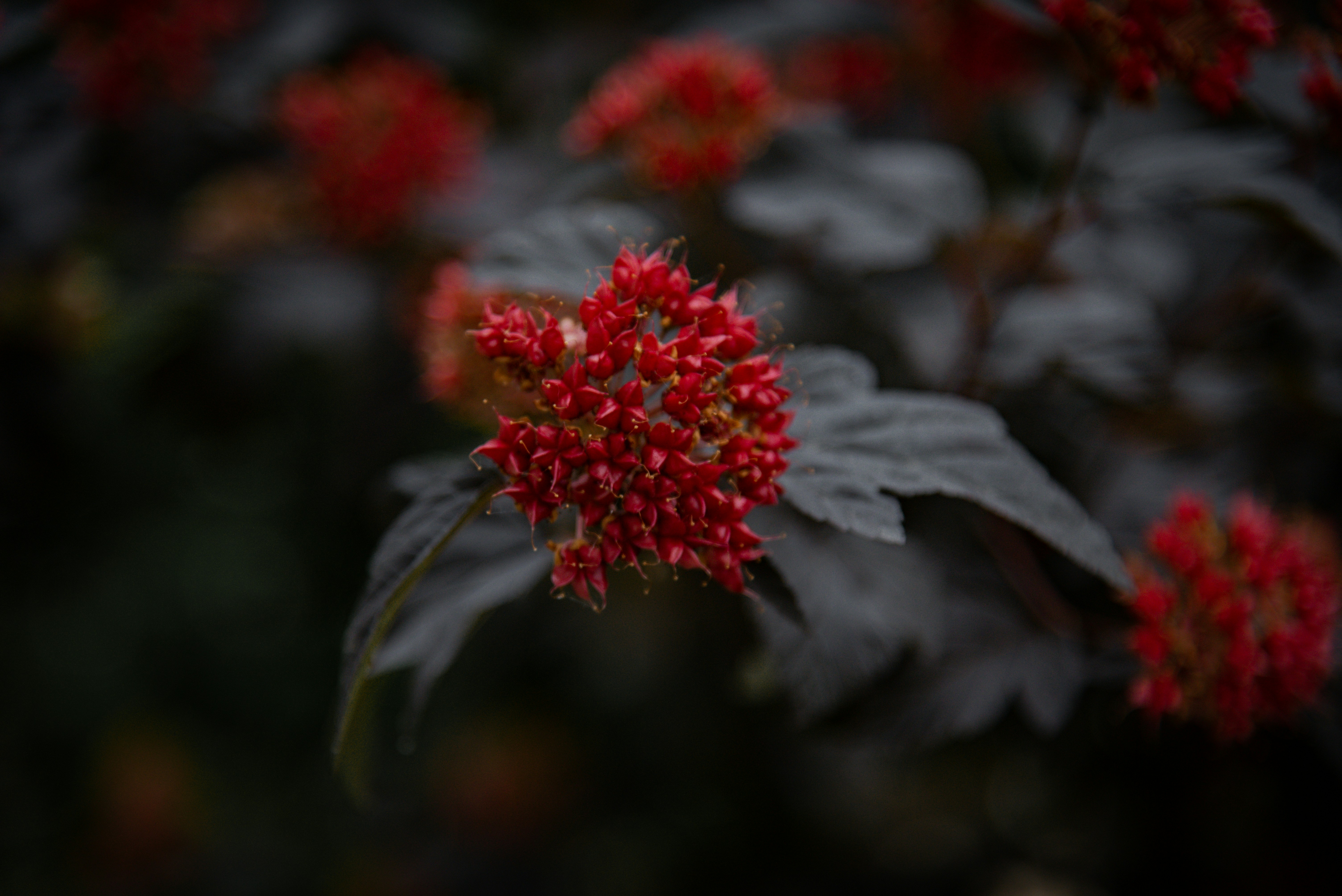 Photo by malwinanogaj