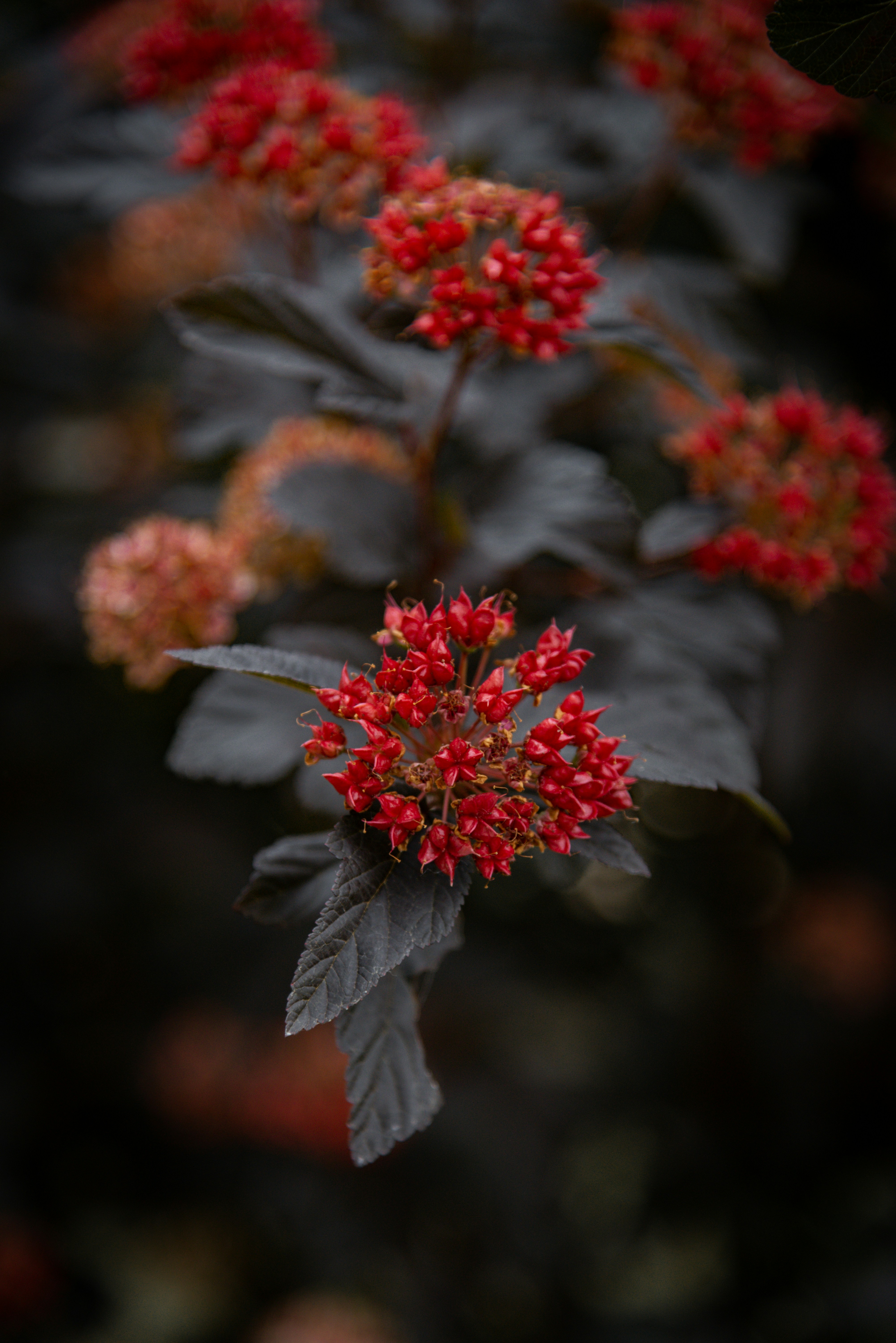 Photo by malwinanogaj