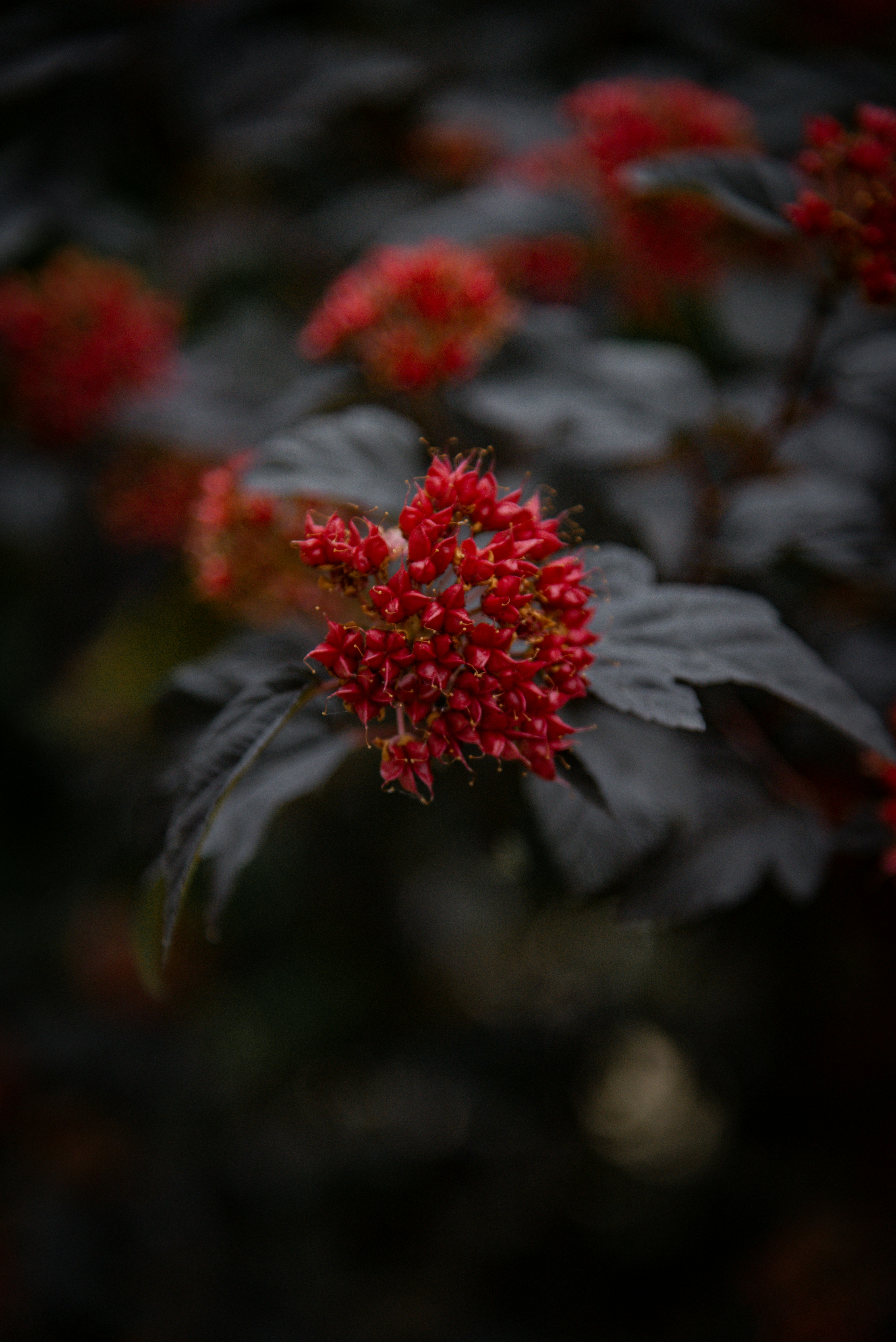 Photo by malwinanogaj