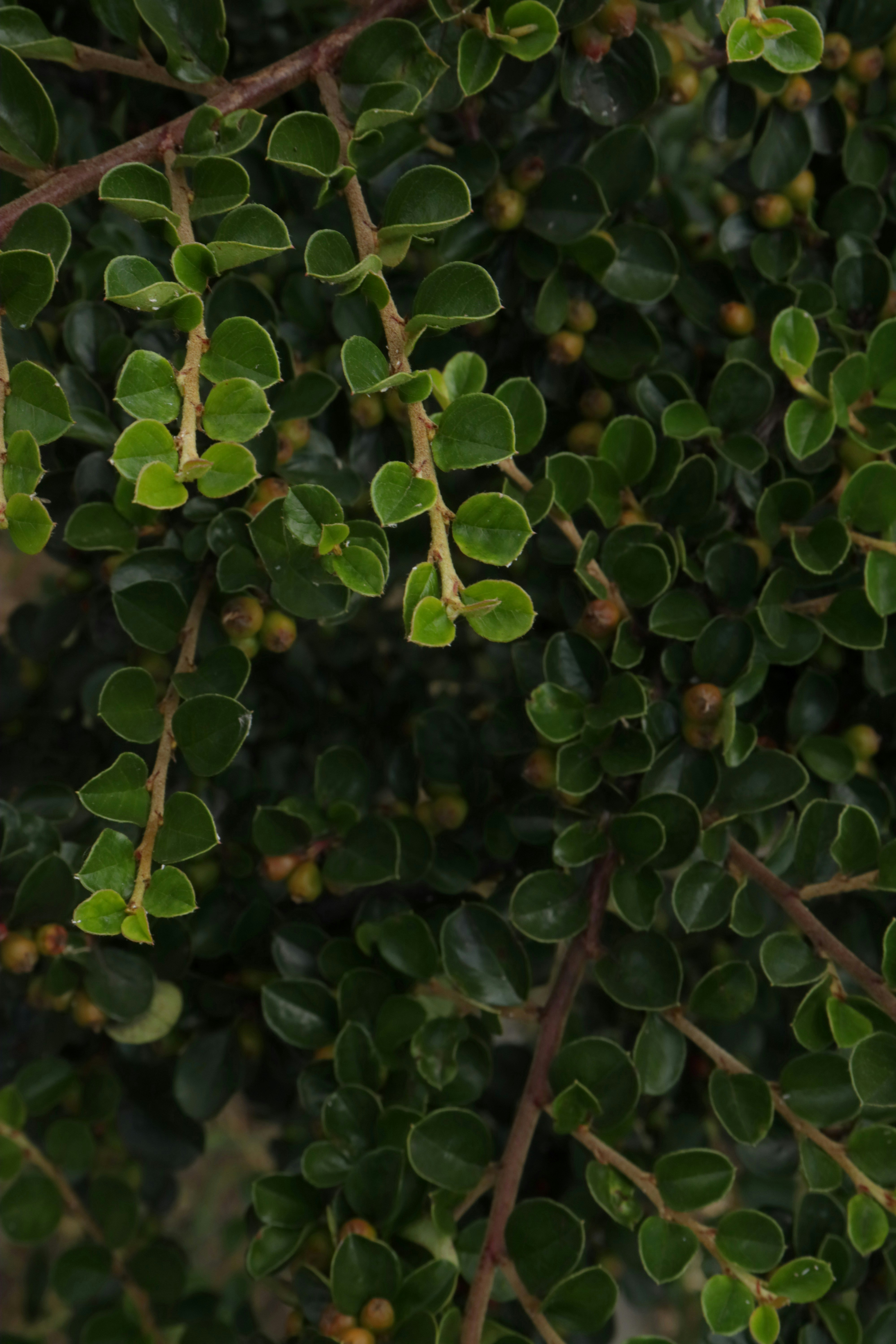 Photo by bored_mongoose