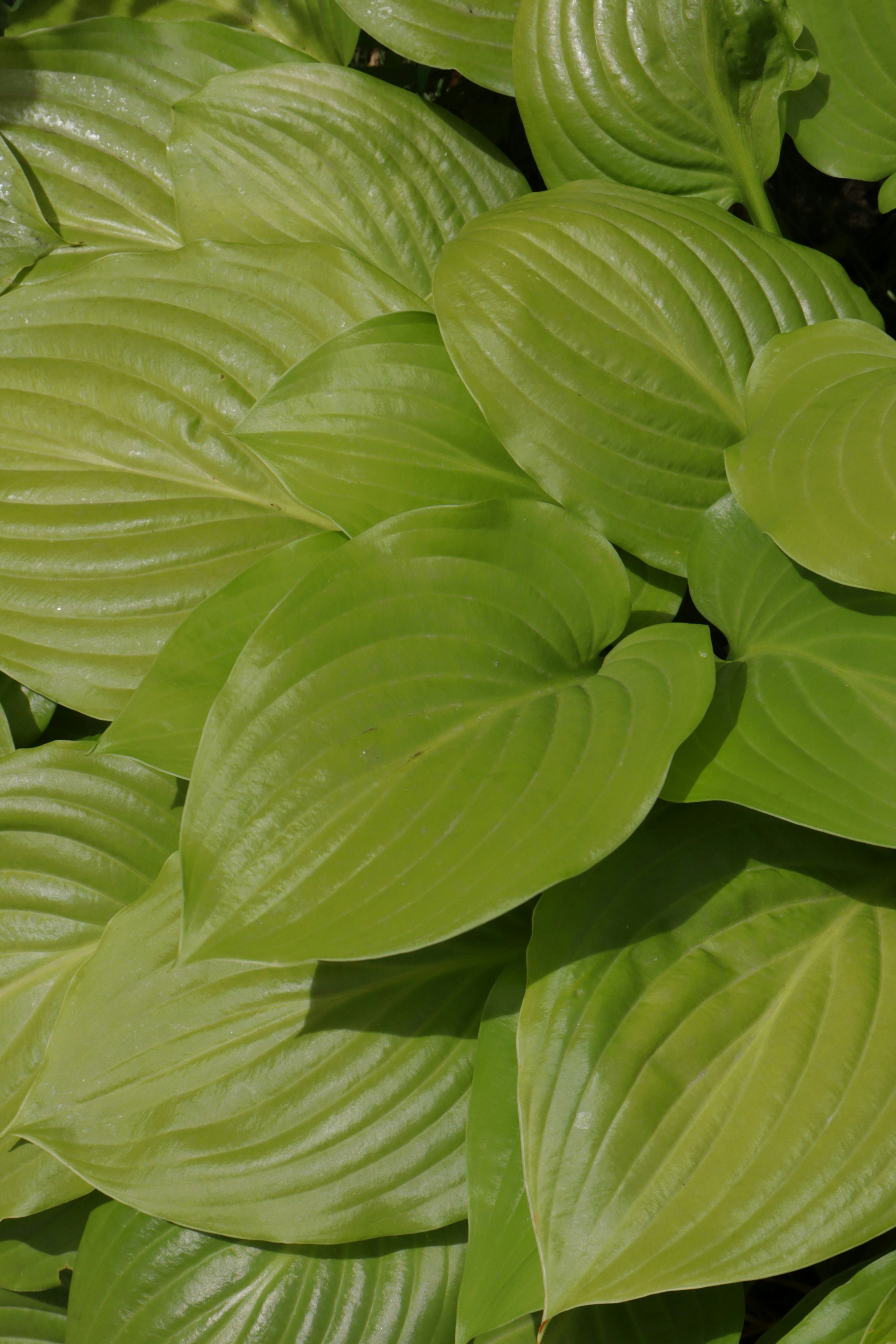 Photo by bored_mongoose