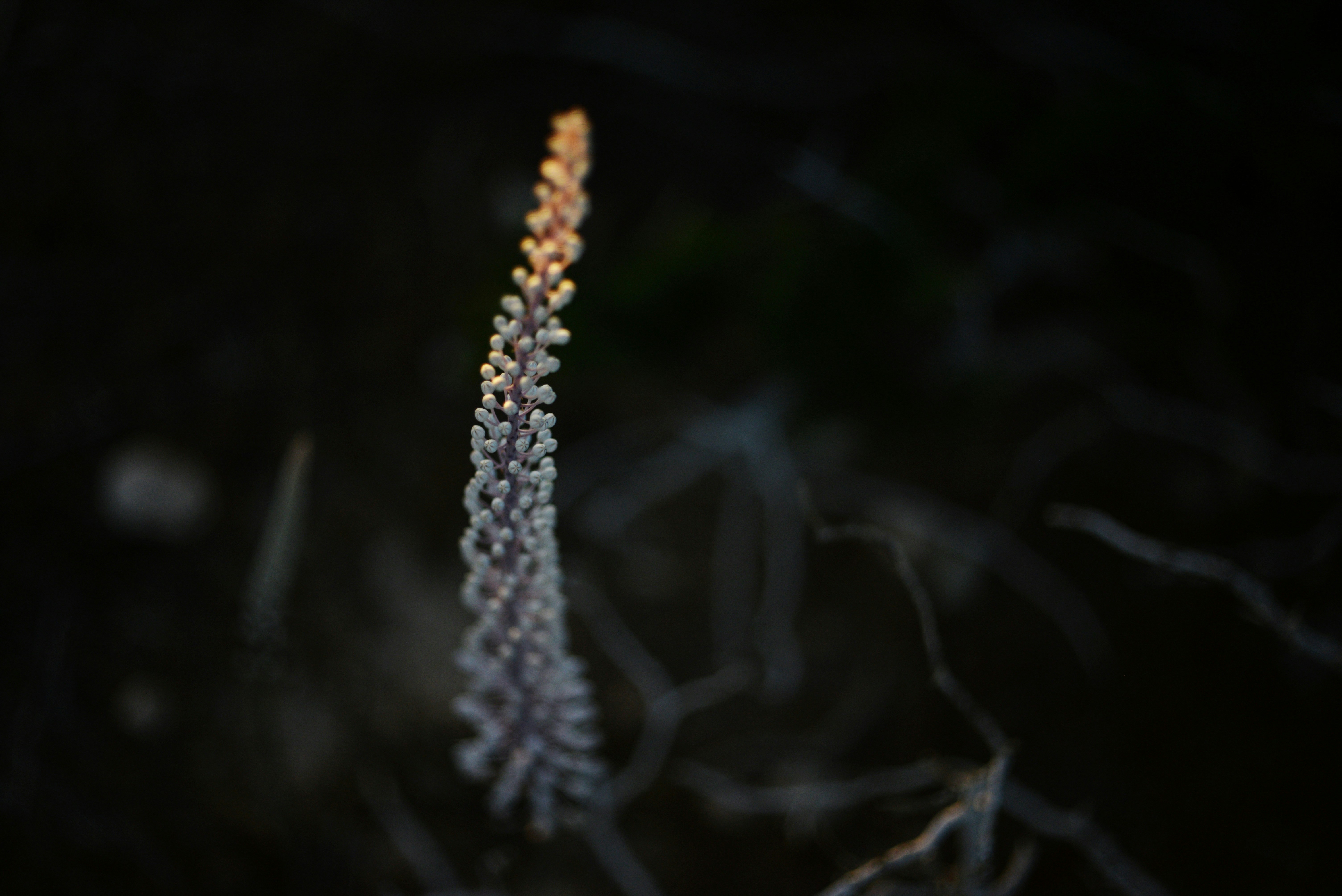 Photo by cherstve_pechivo