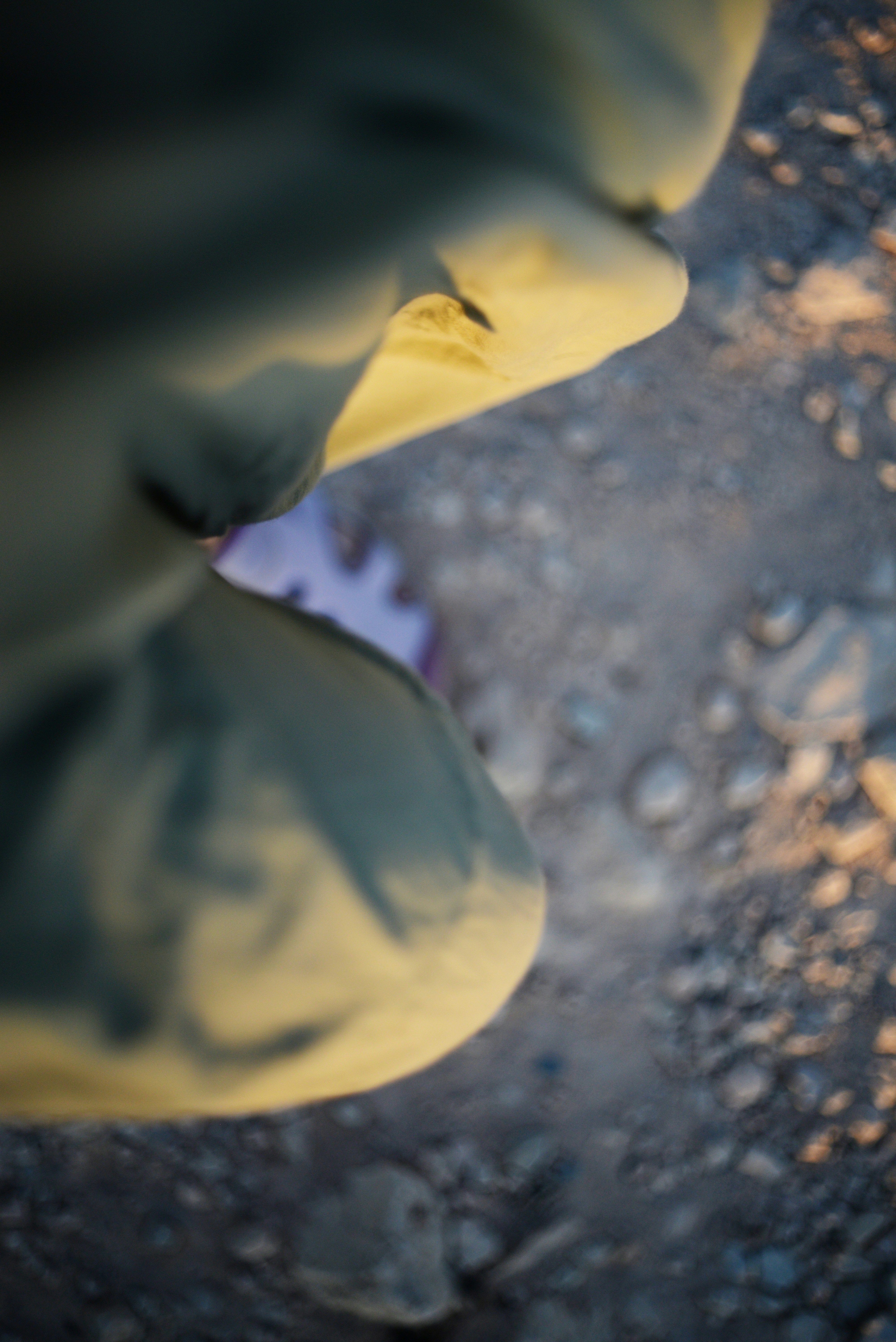 Photo by cherstve_pechivo