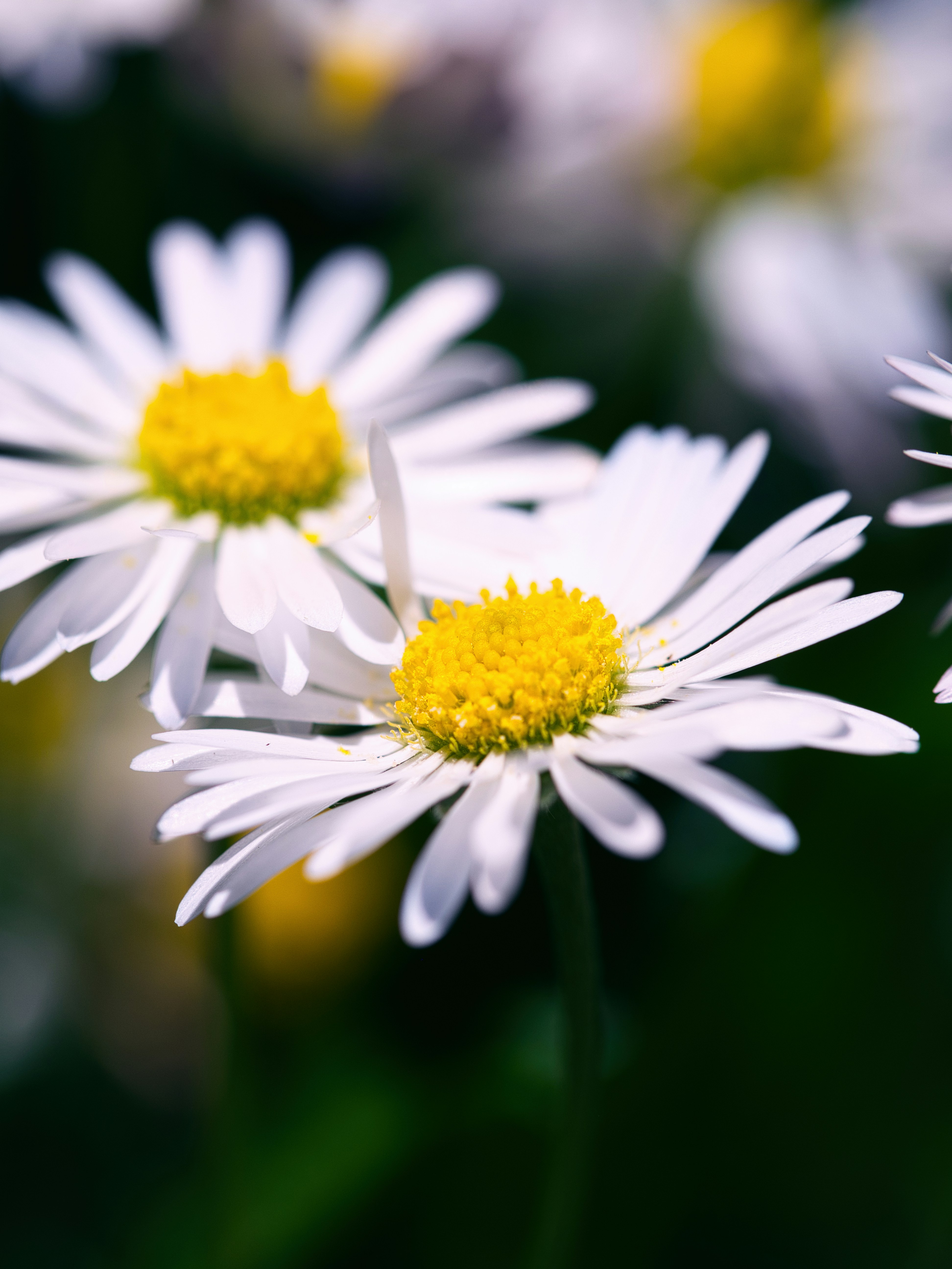 Photo by theskytales