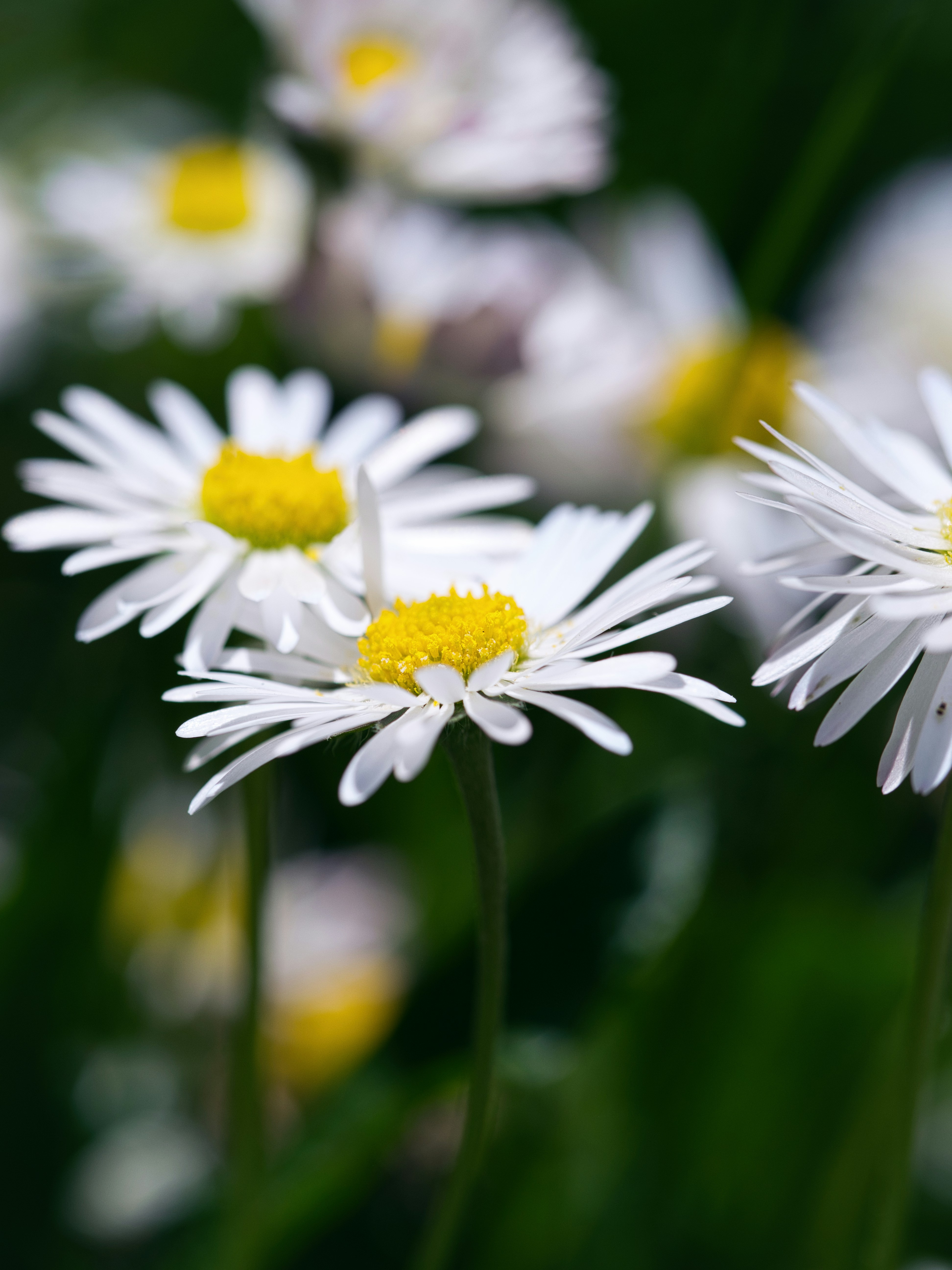 Photo by theskytales