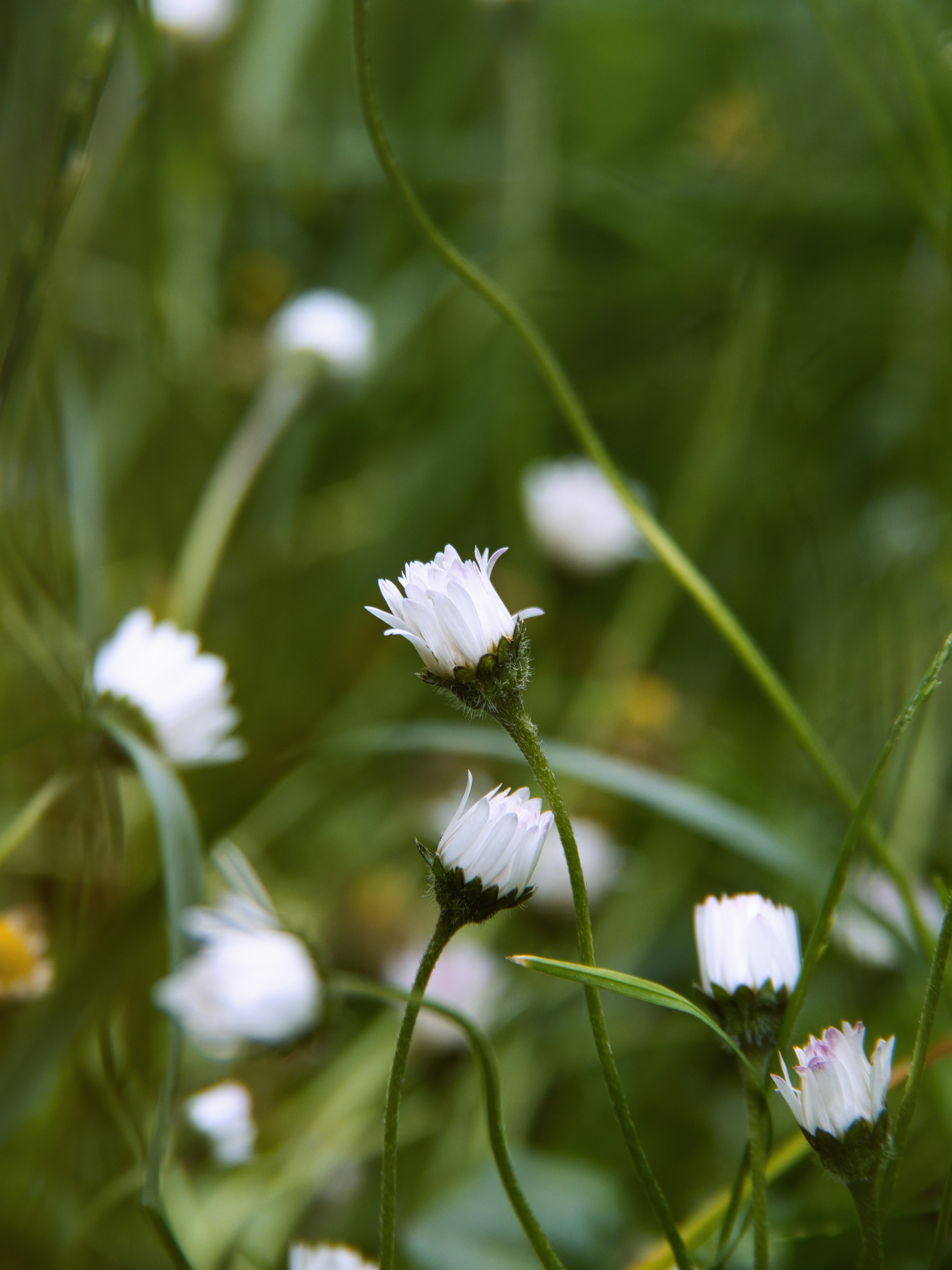 Photo by theskytales