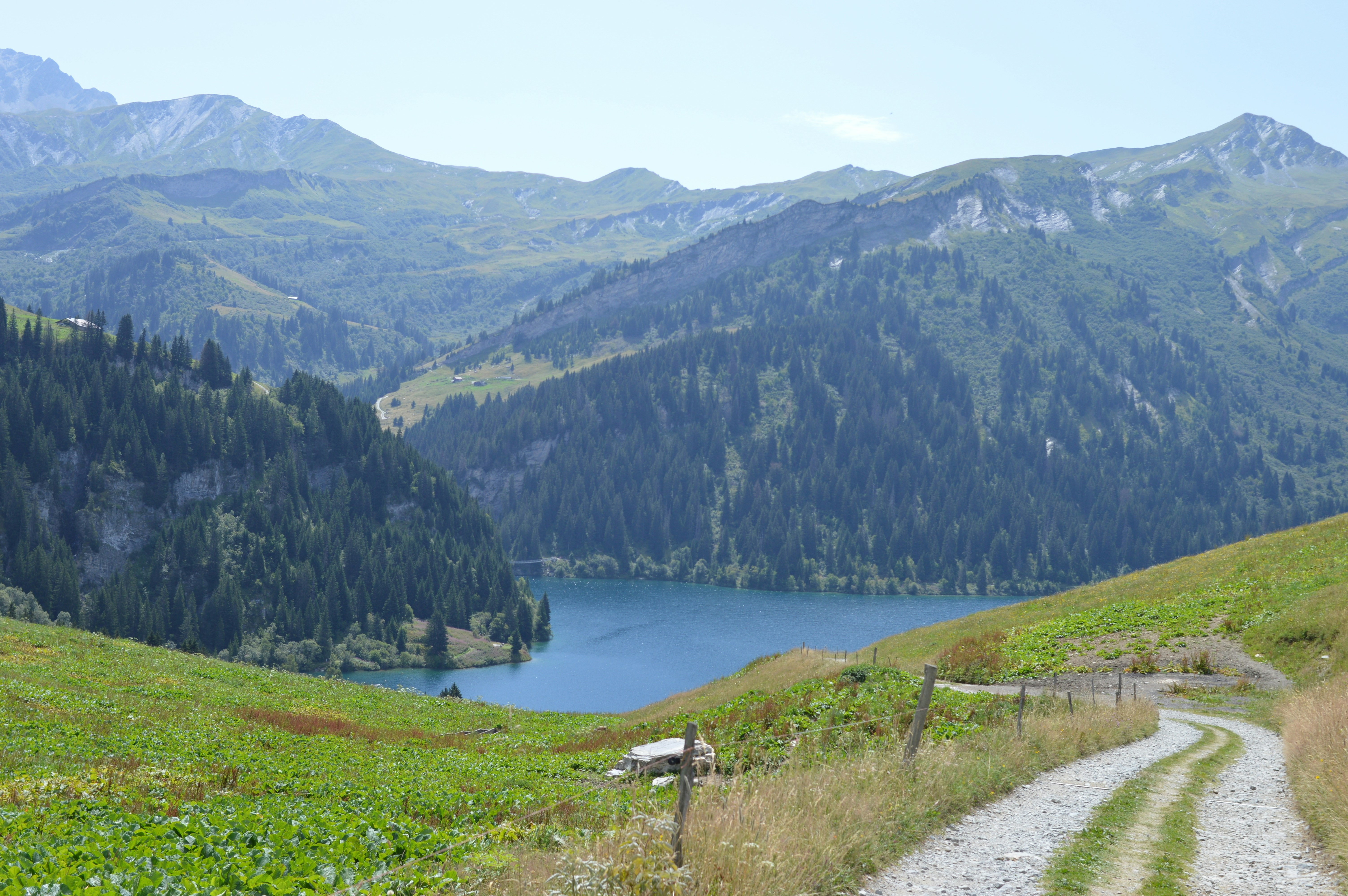 Photo by mireiaromol