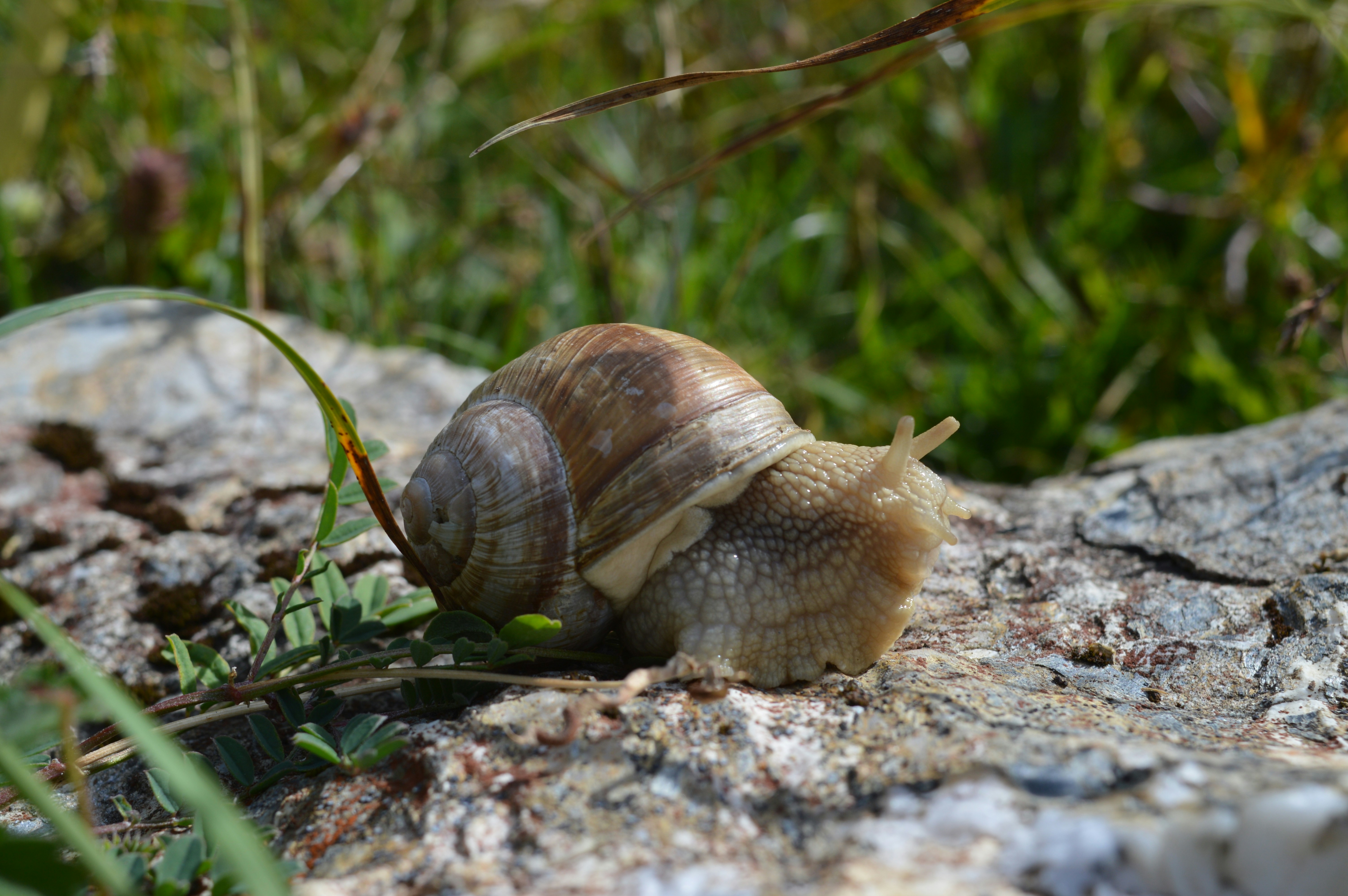 Photo by mireiaromol