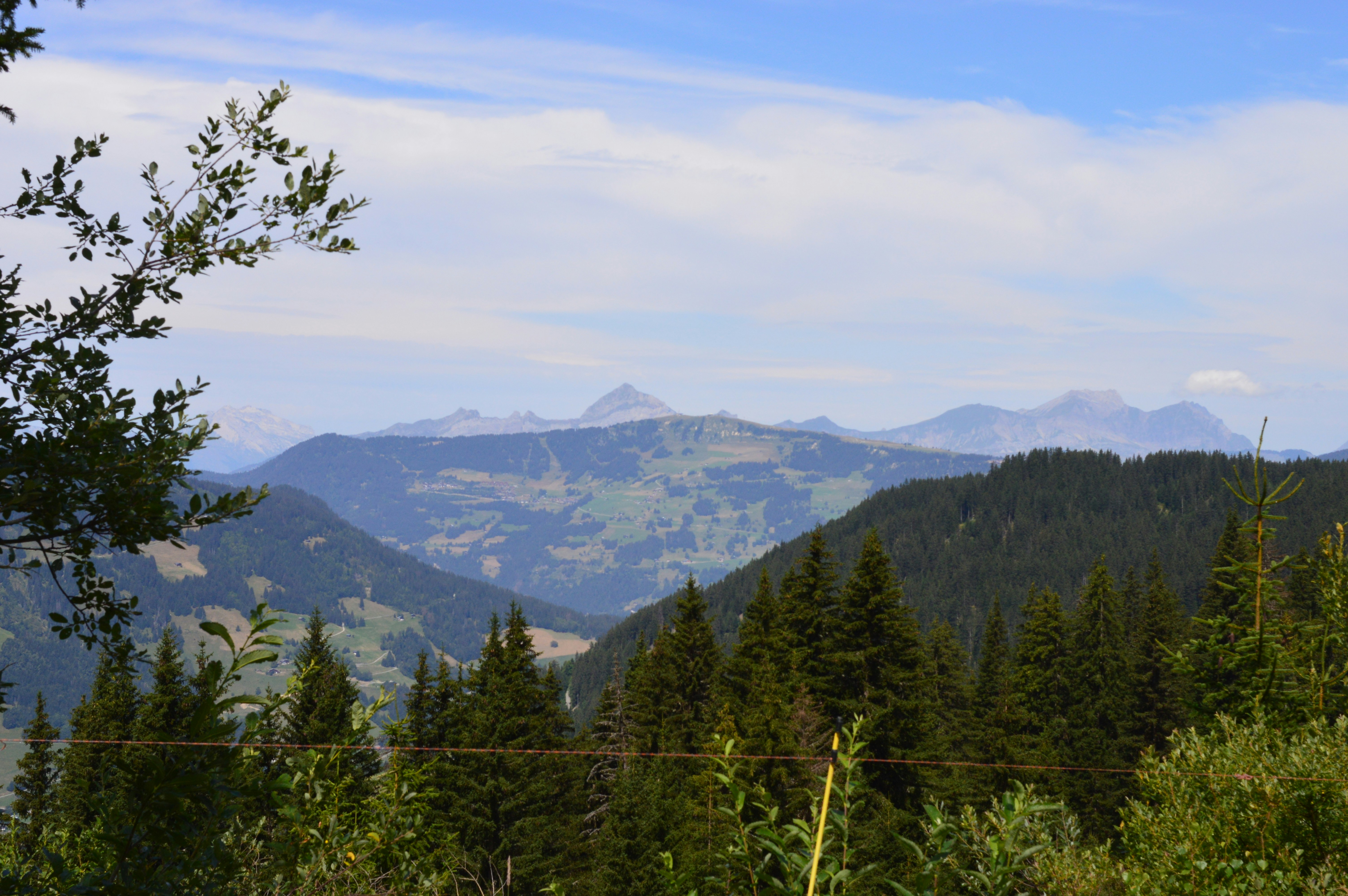 Photo by mireiaromol