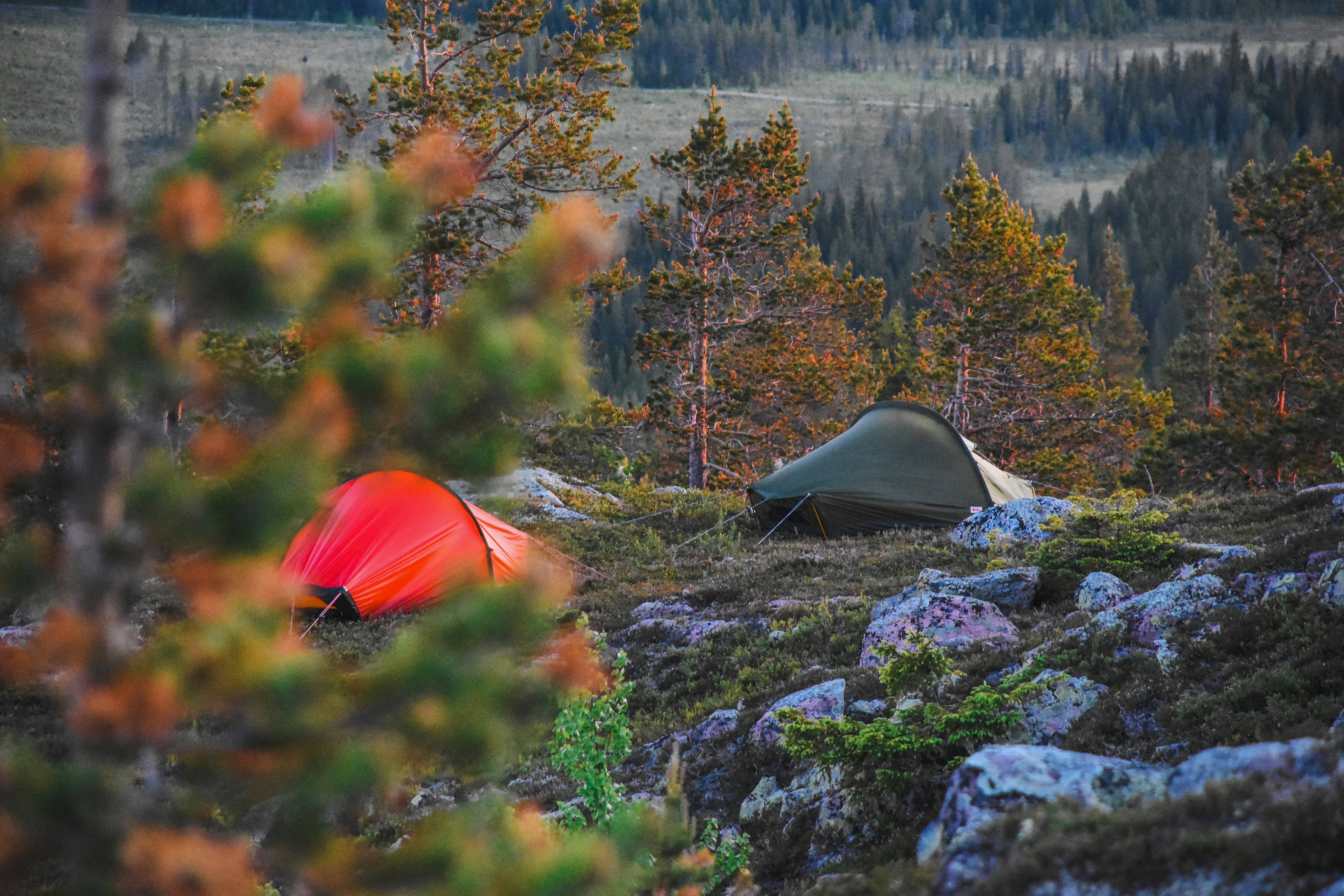 Photo by niklasjonasson