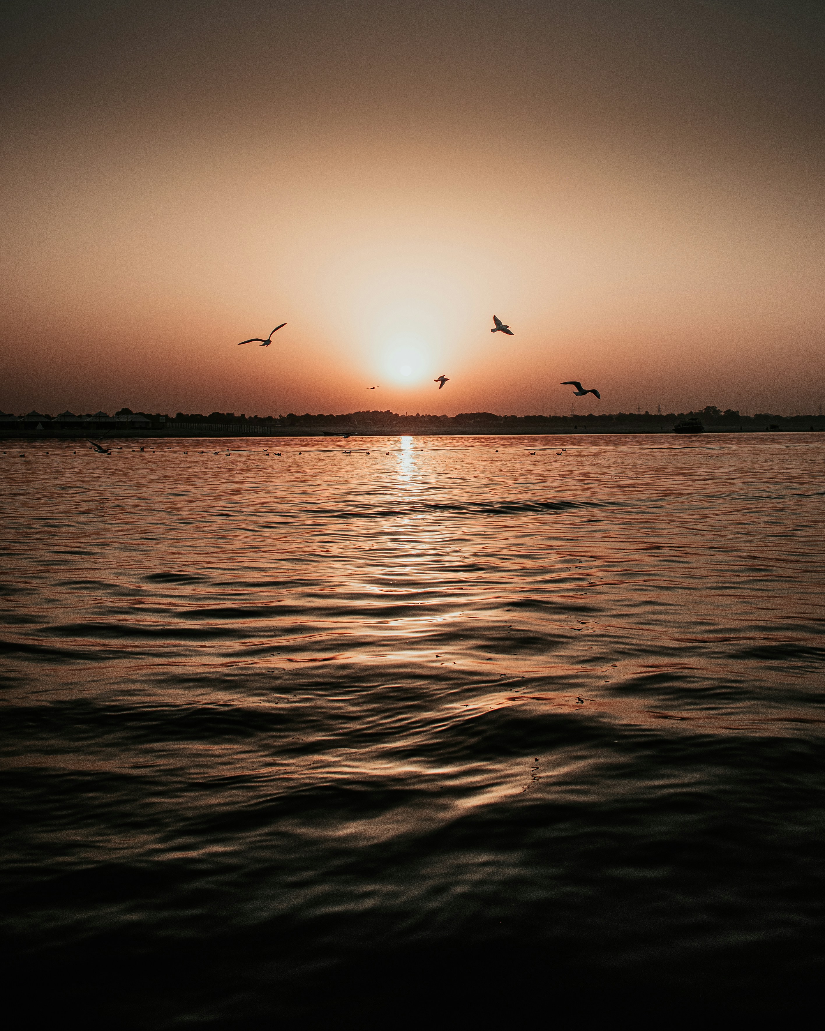 Photo by sagarkulkarni