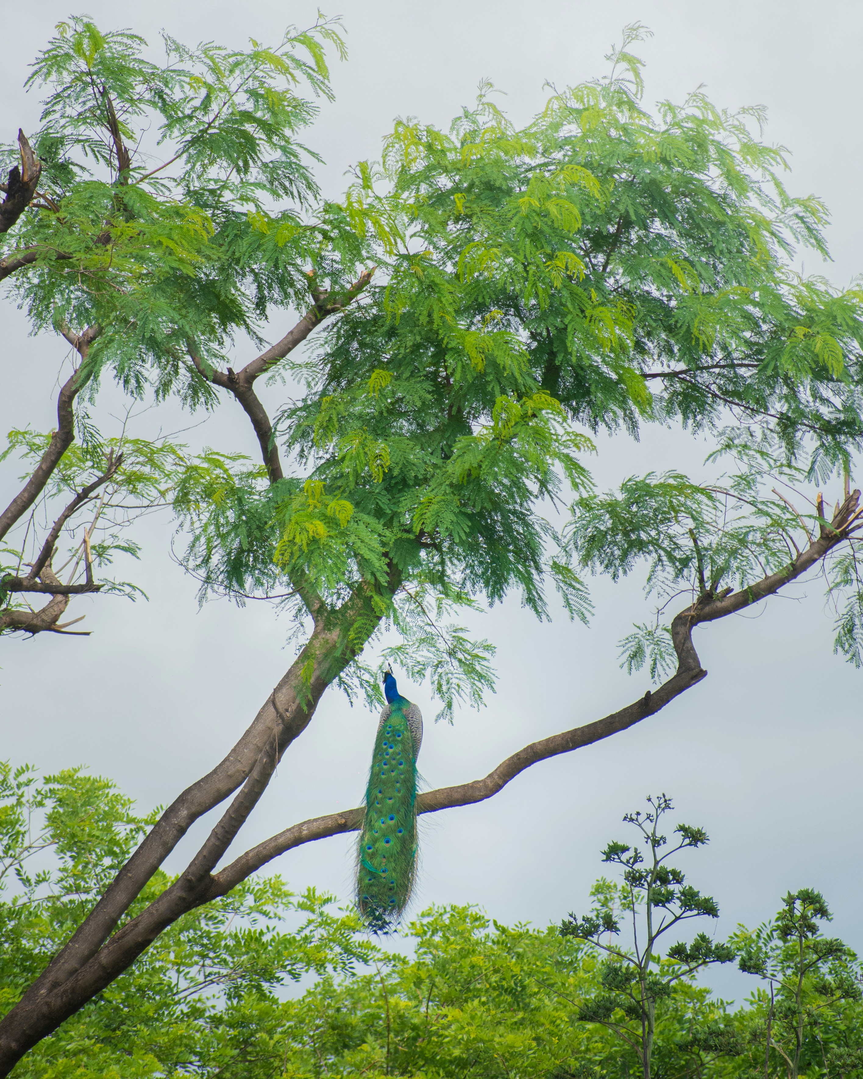 Photo by sagarkulkarni