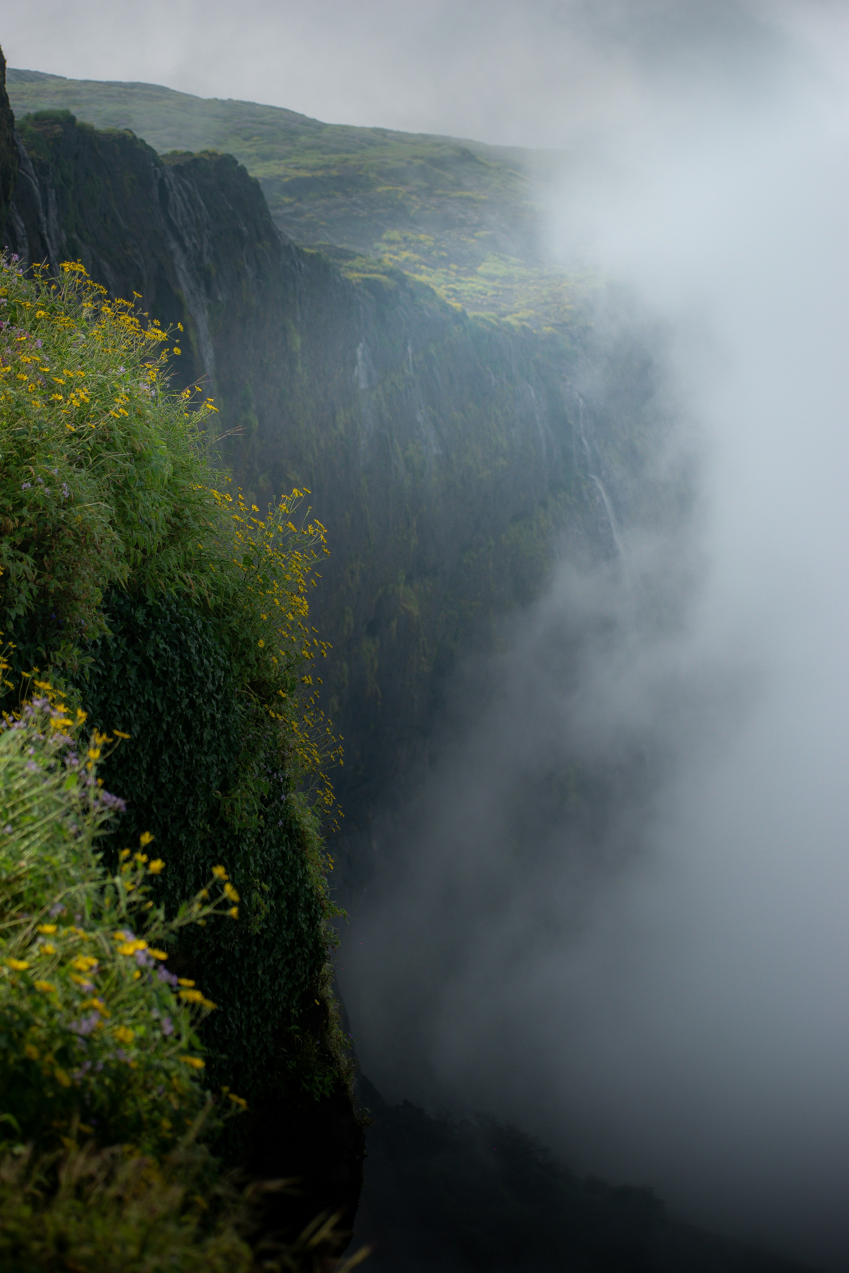 Photo by sagarkulkarni