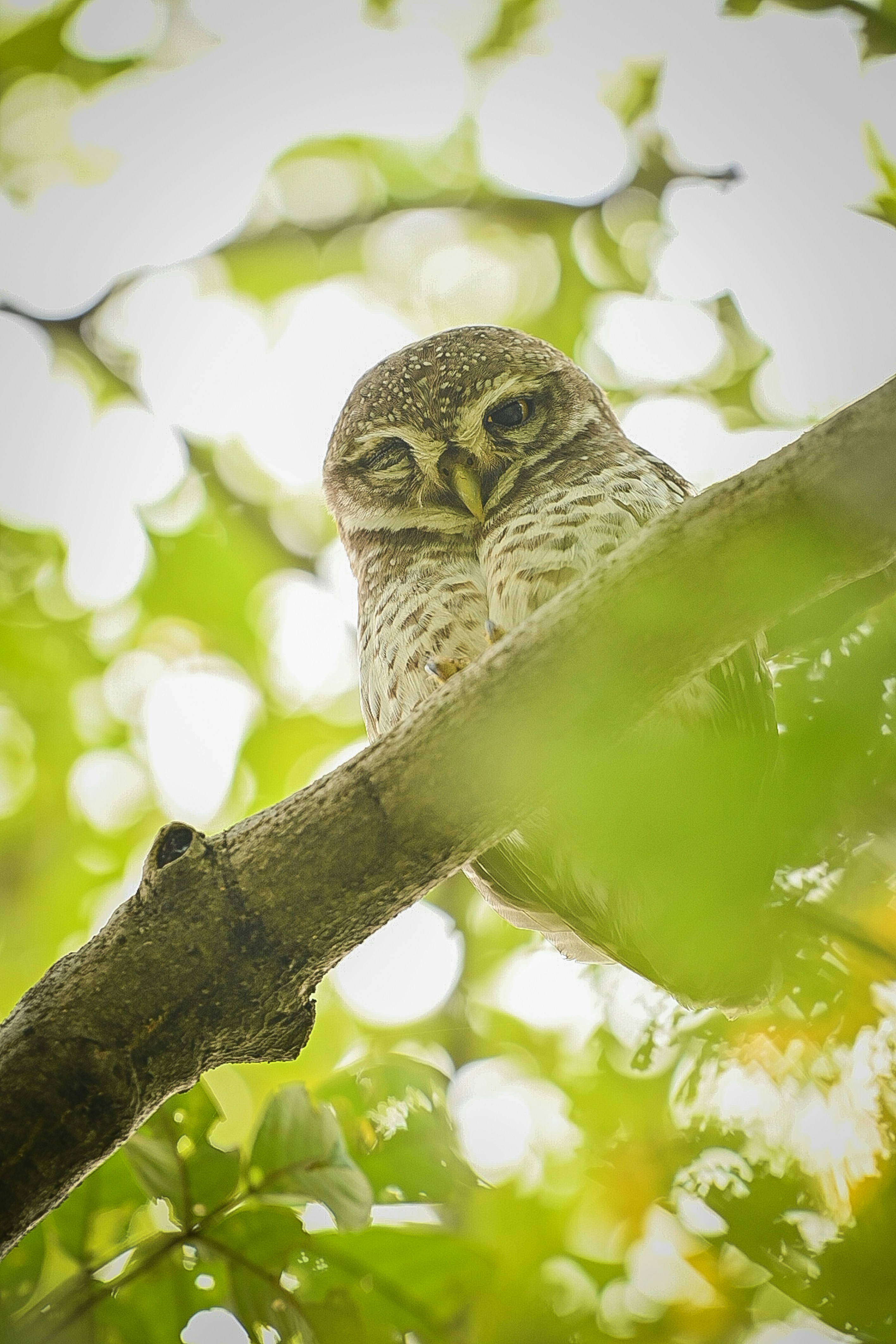 Photo by sagarkulkarni