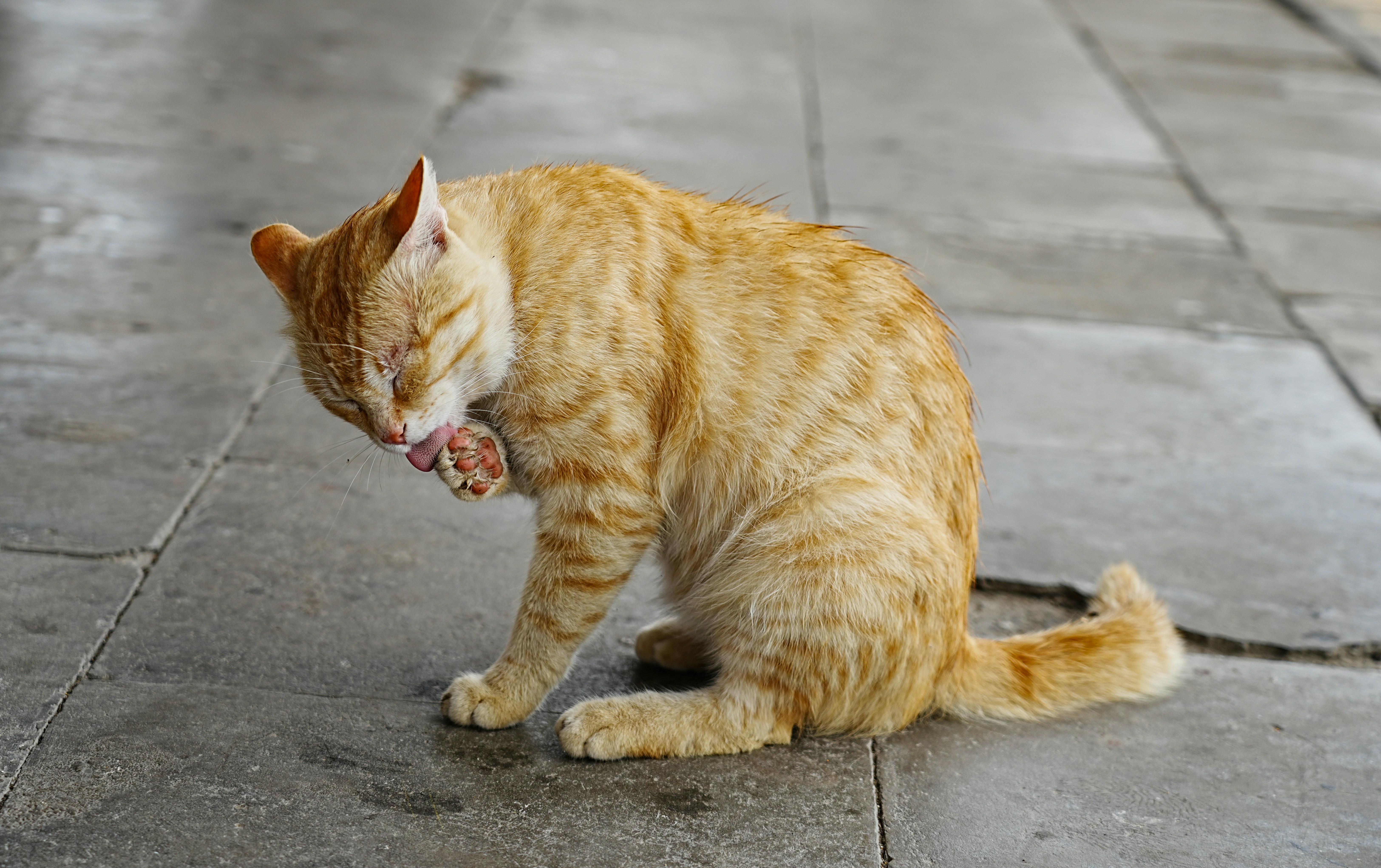 The Kneading Connection (image credits: unsplash)