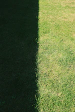 Shadow and sunlight create a striking contrast