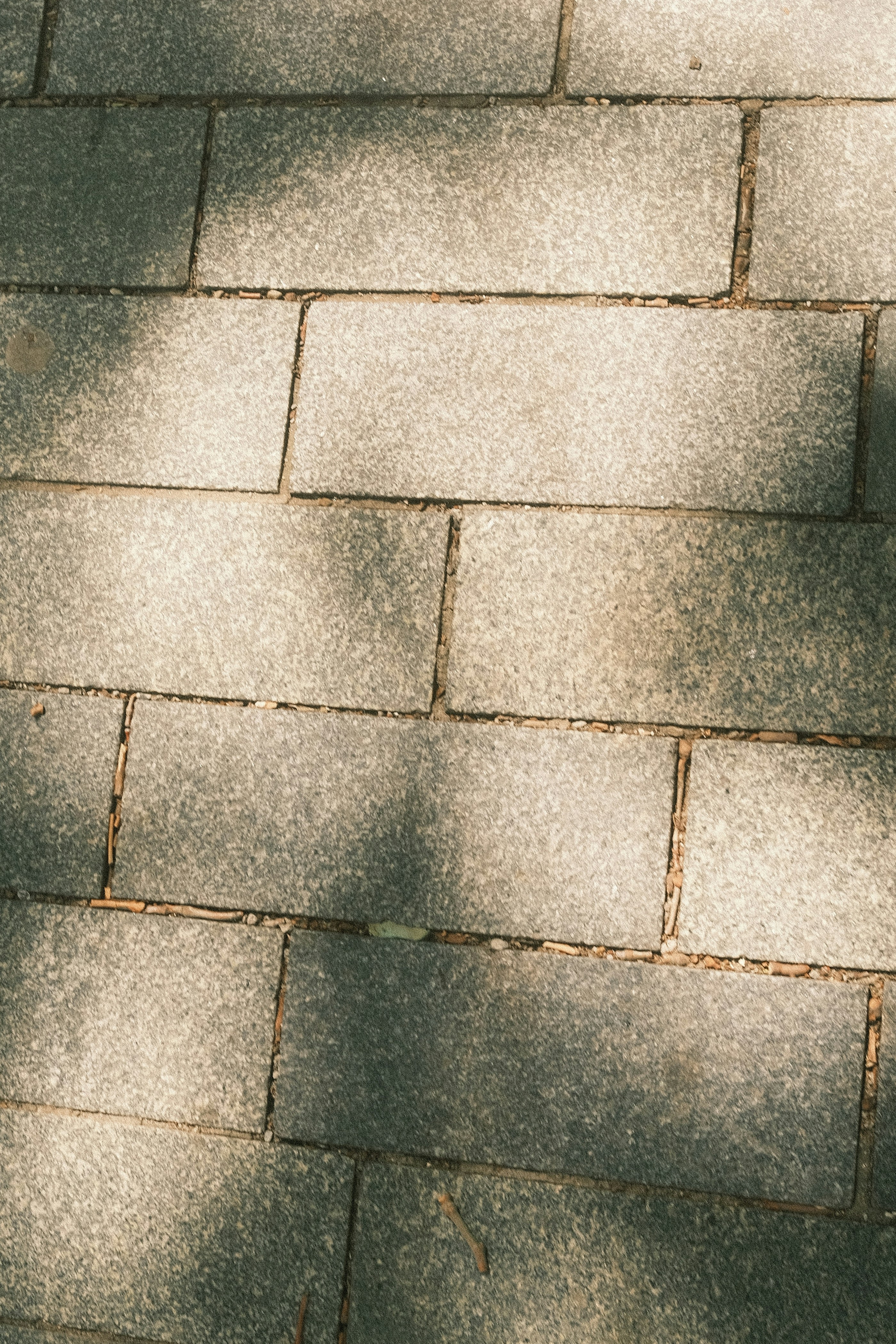 Photo by visualsbying