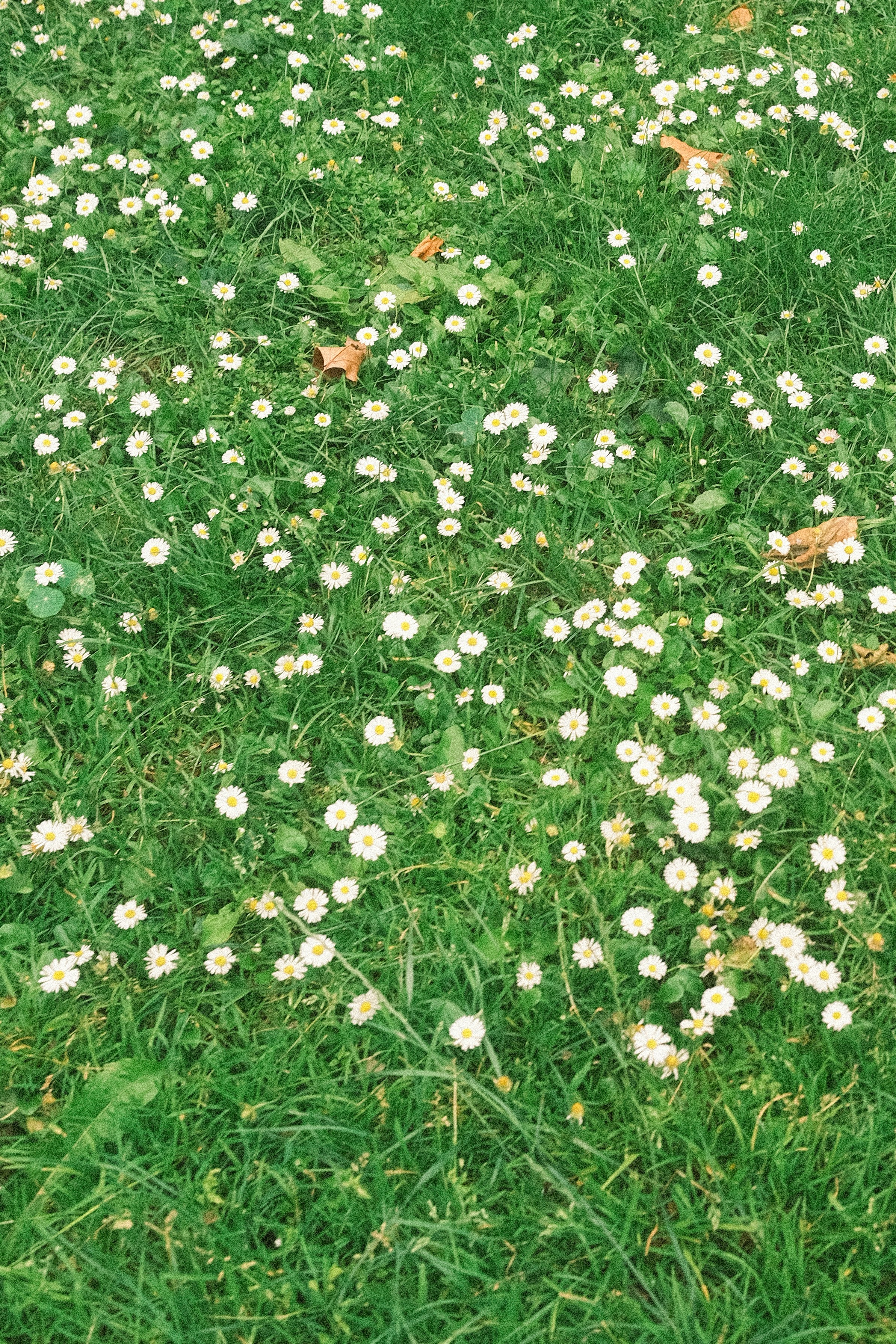 Photo by visualsbying