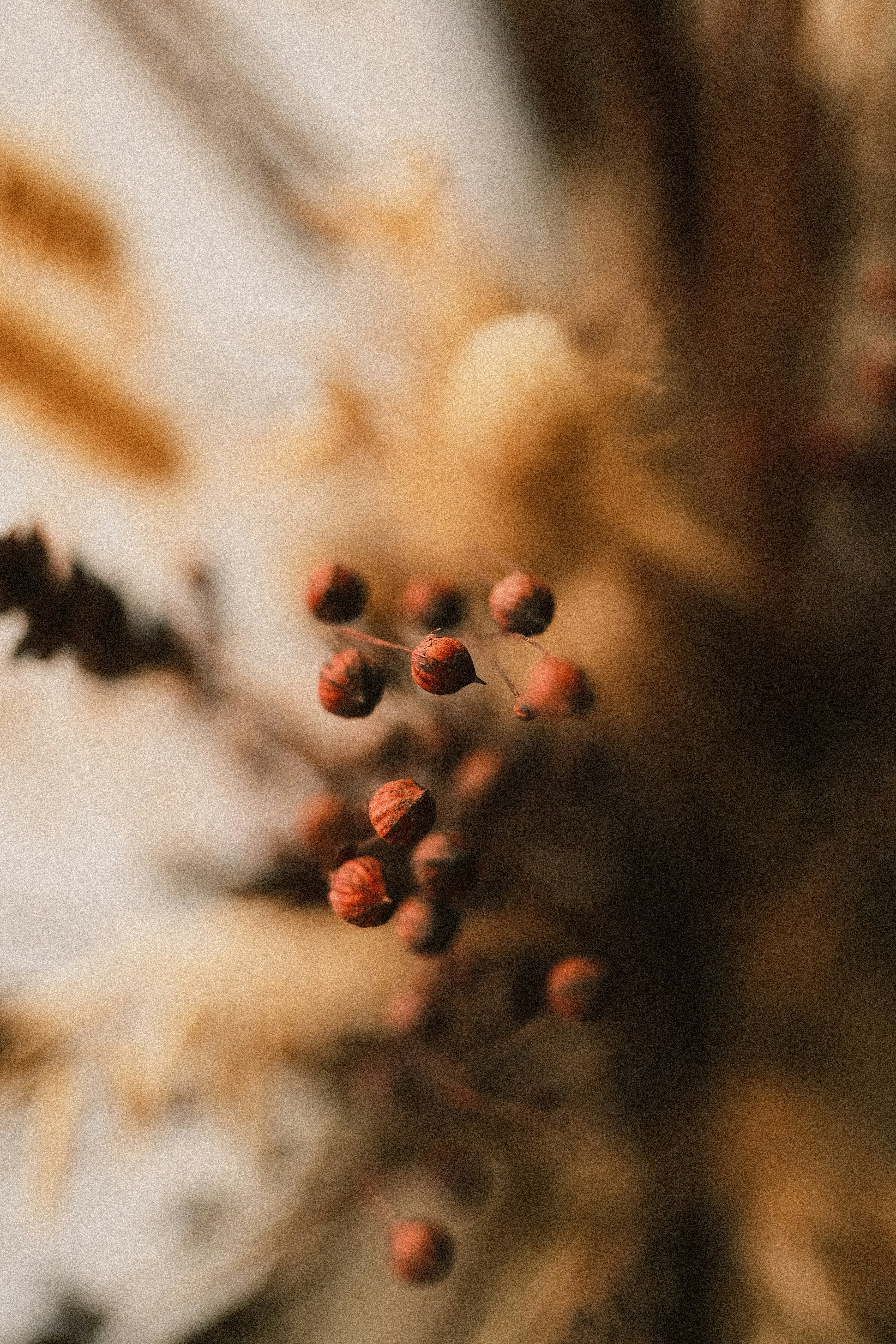 Photo by visualsbying