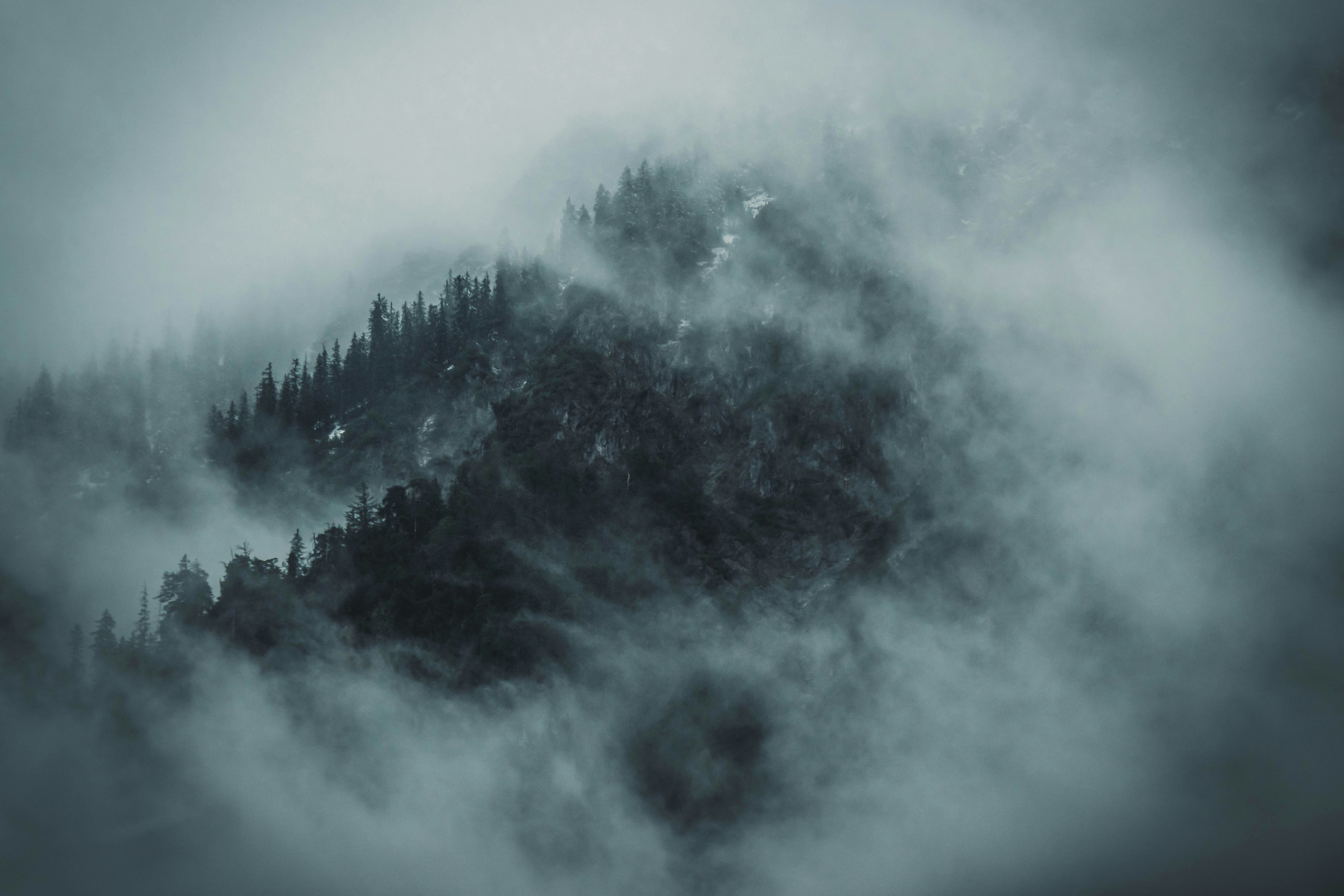 Photo by jonasdegener