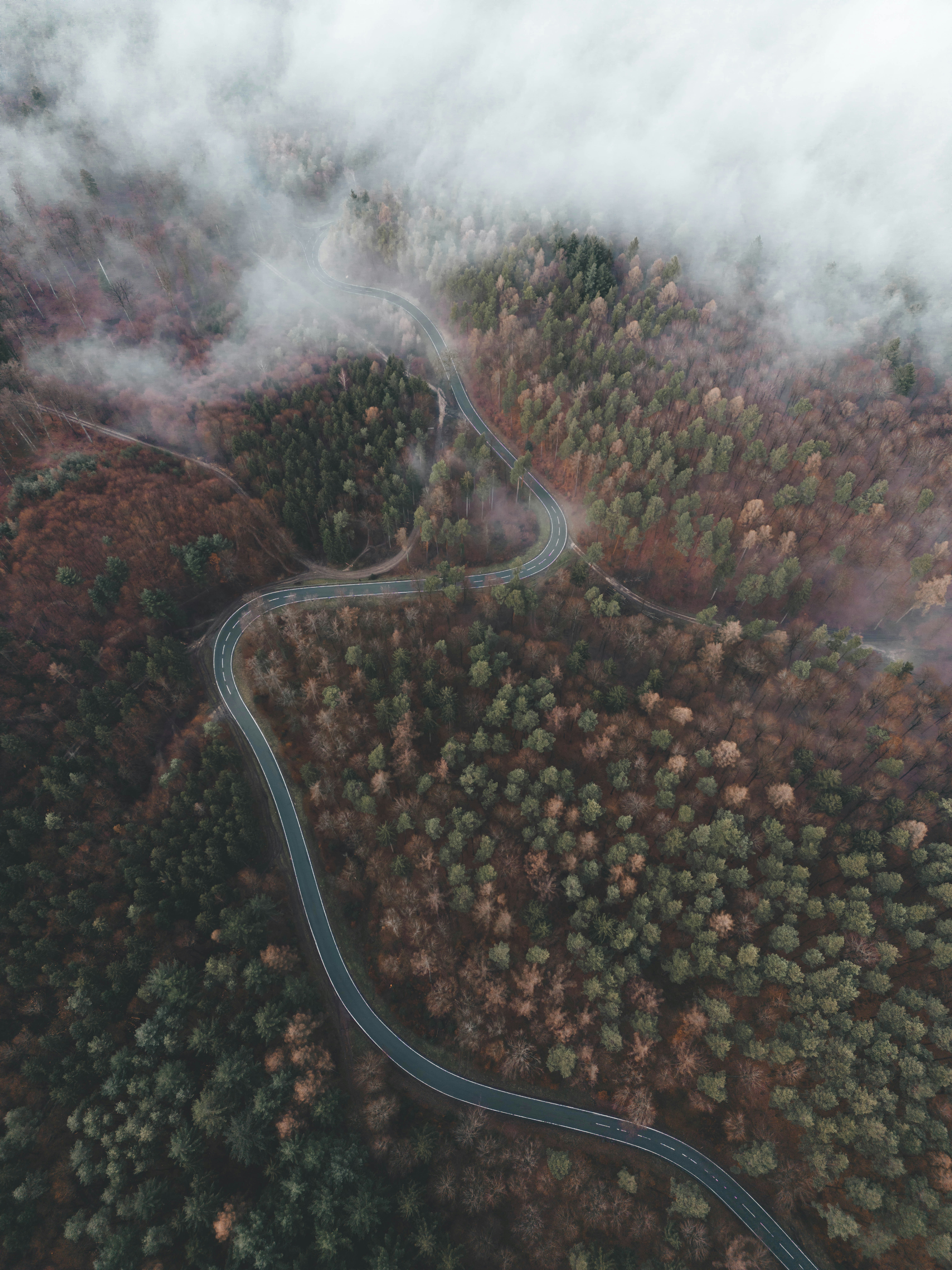 Photo by jonasdegener