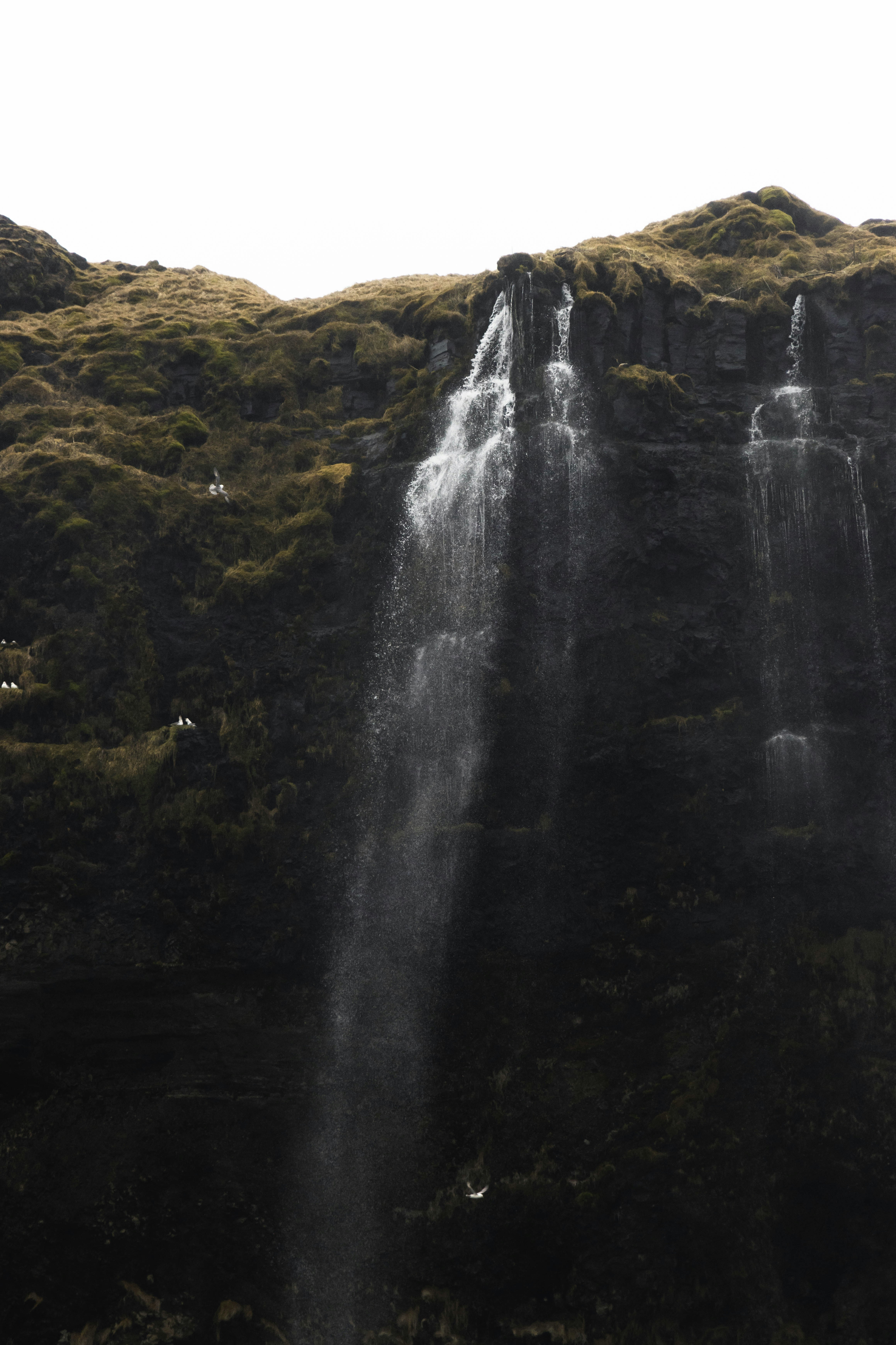 Photo by jonasdegener