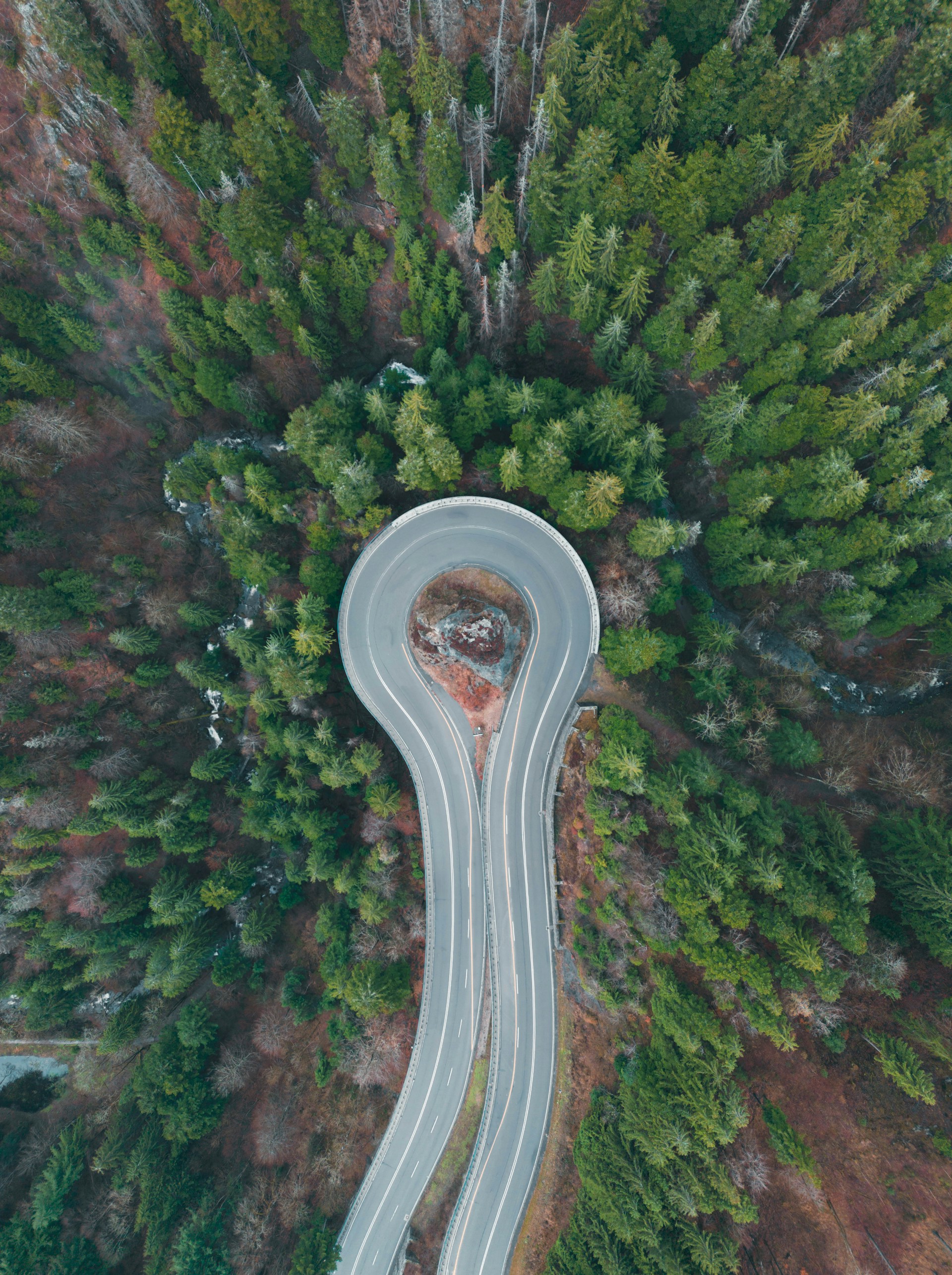 An aerial view of a winding road through trees.