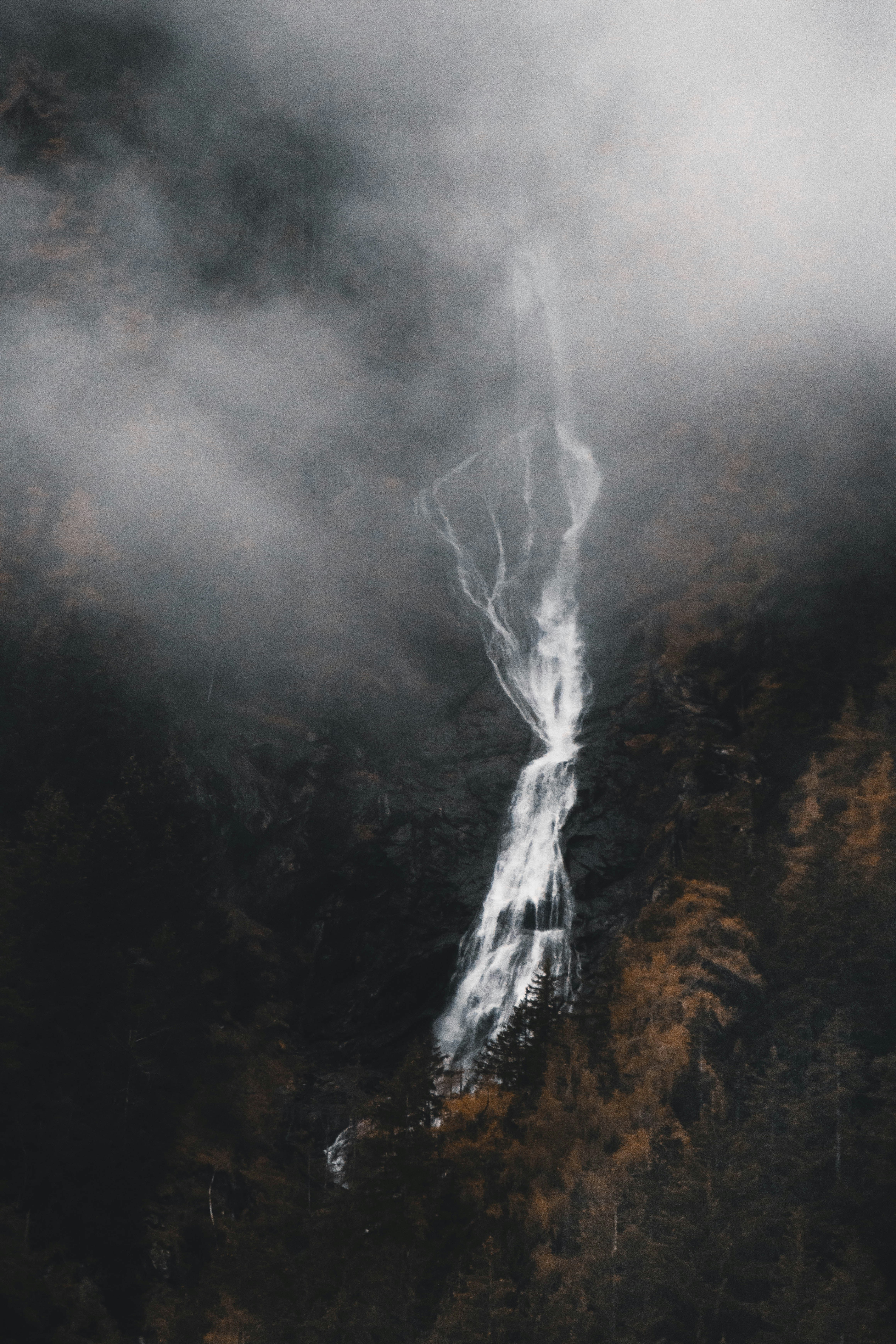 Photo by jonasdegener