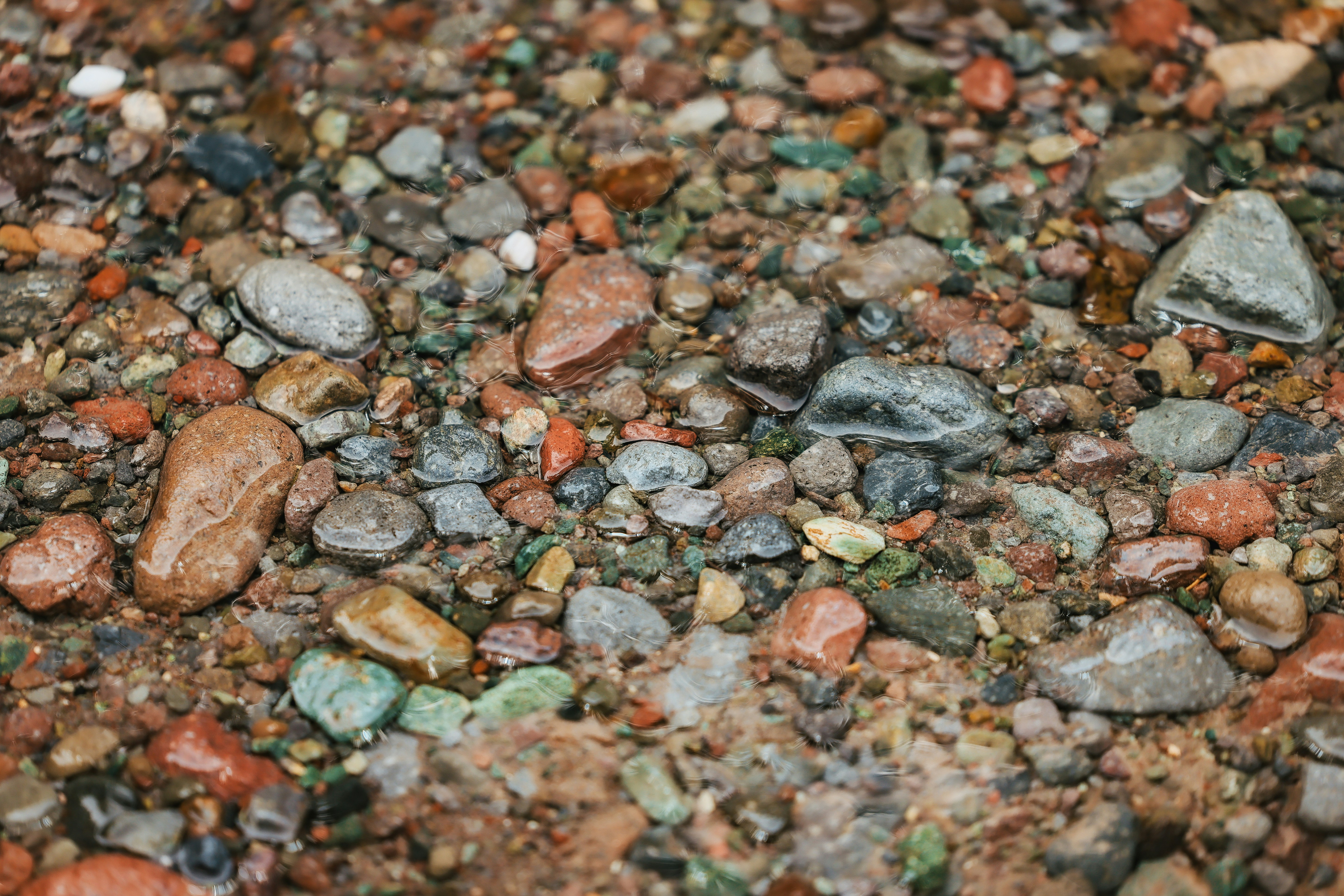 A close-up view of colorful pebbles.