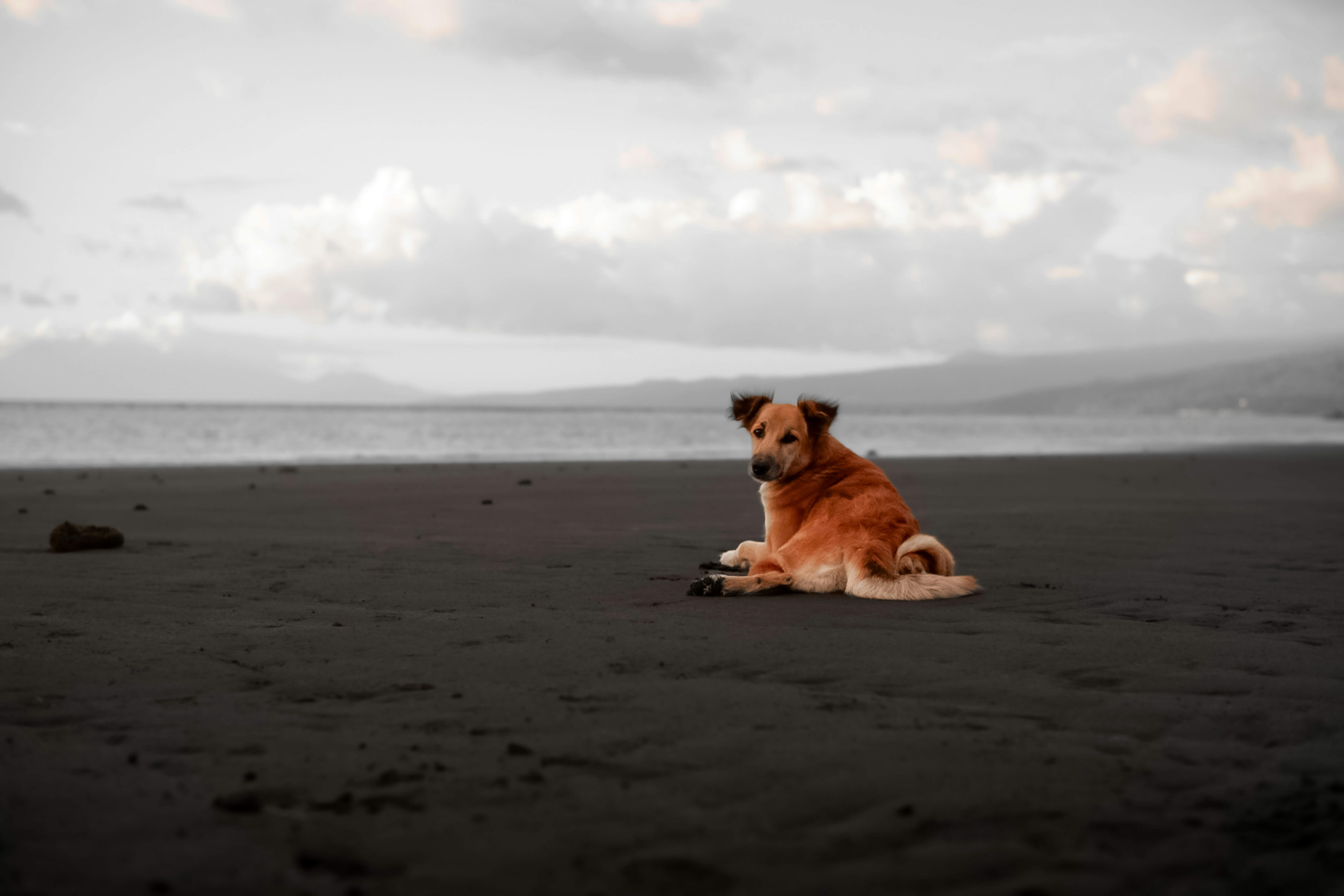 Photo by illiuminous