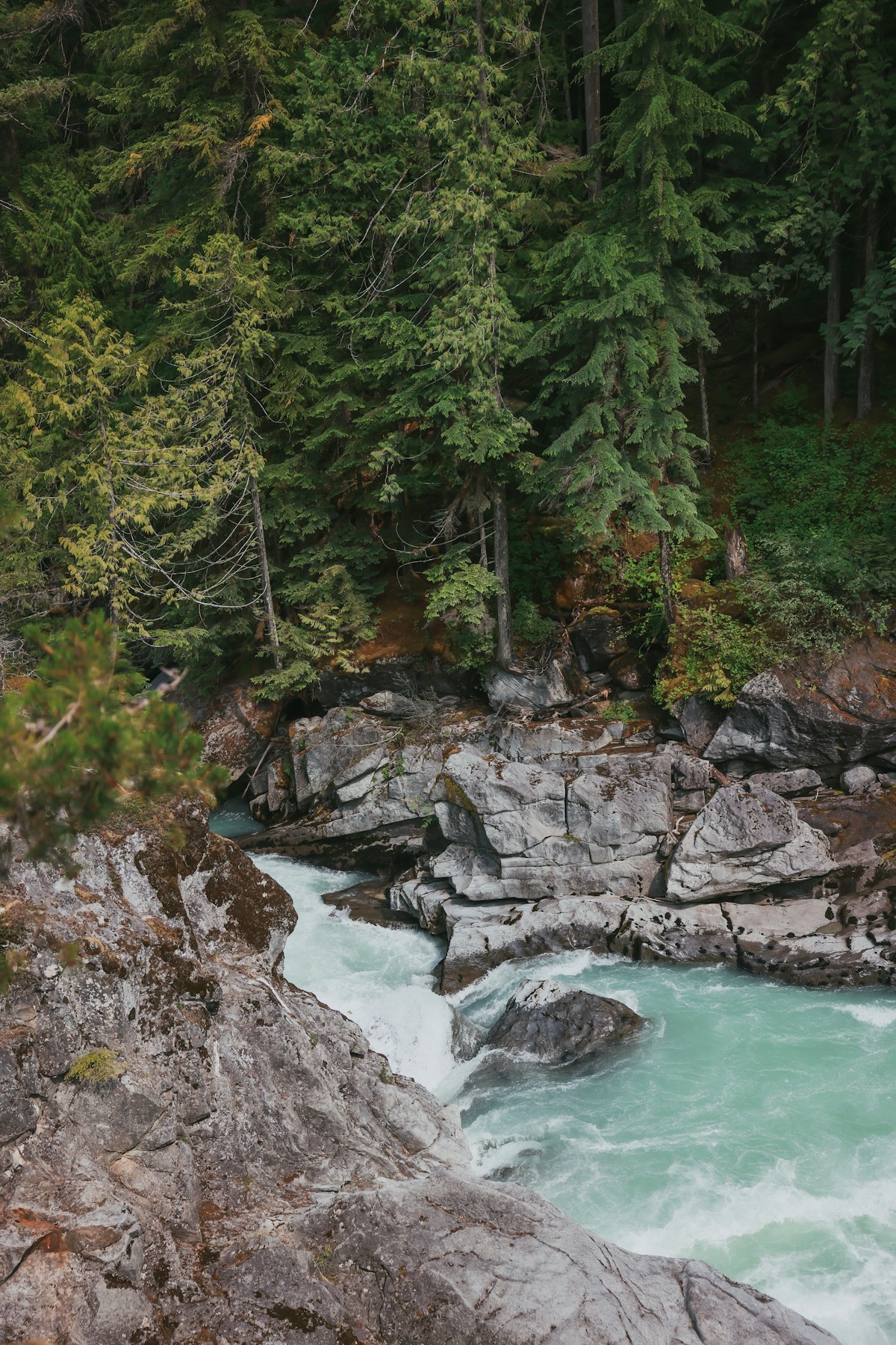 Current River: Round Spring to Two Rivers