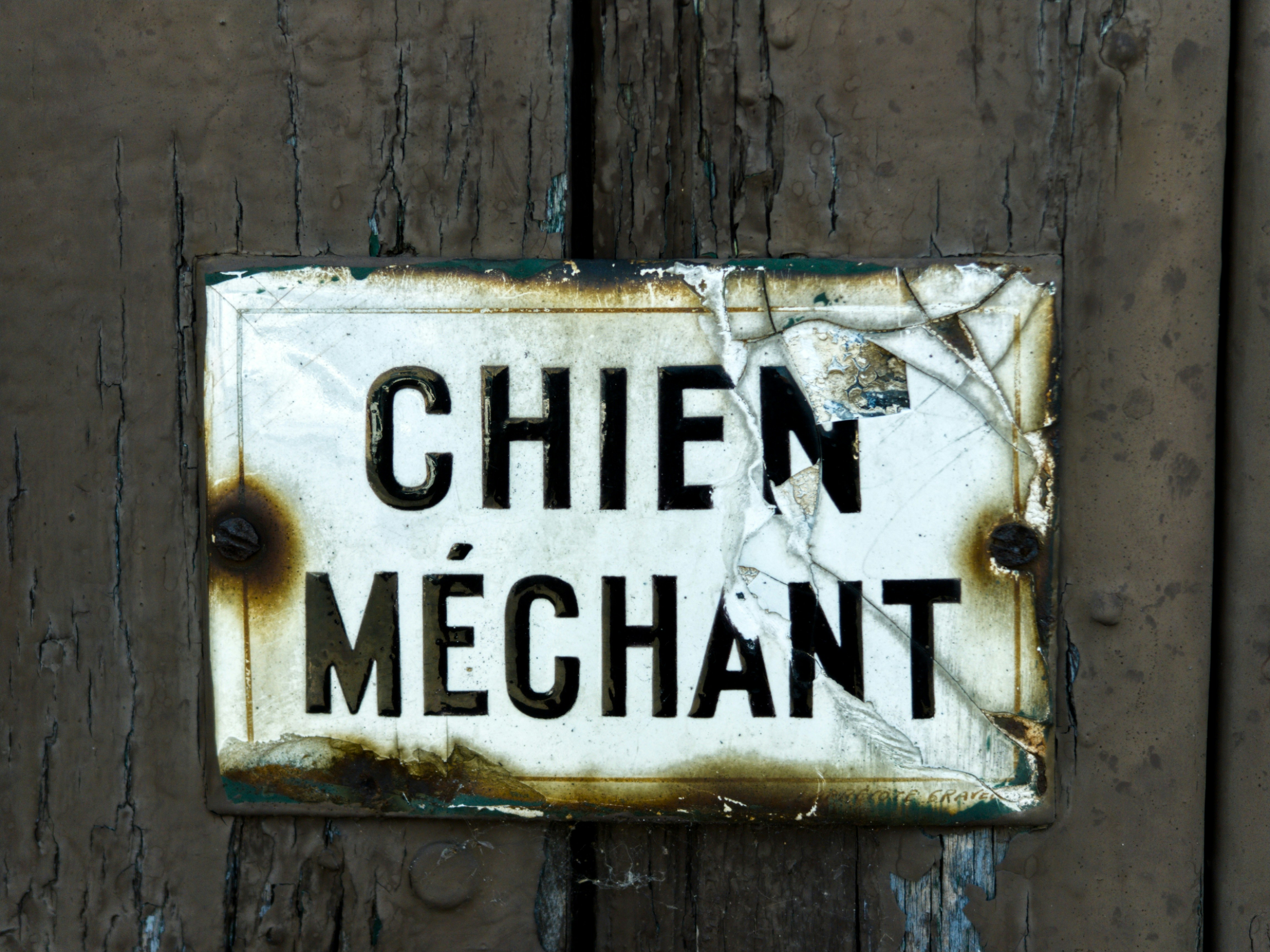 Panneau chien méchant