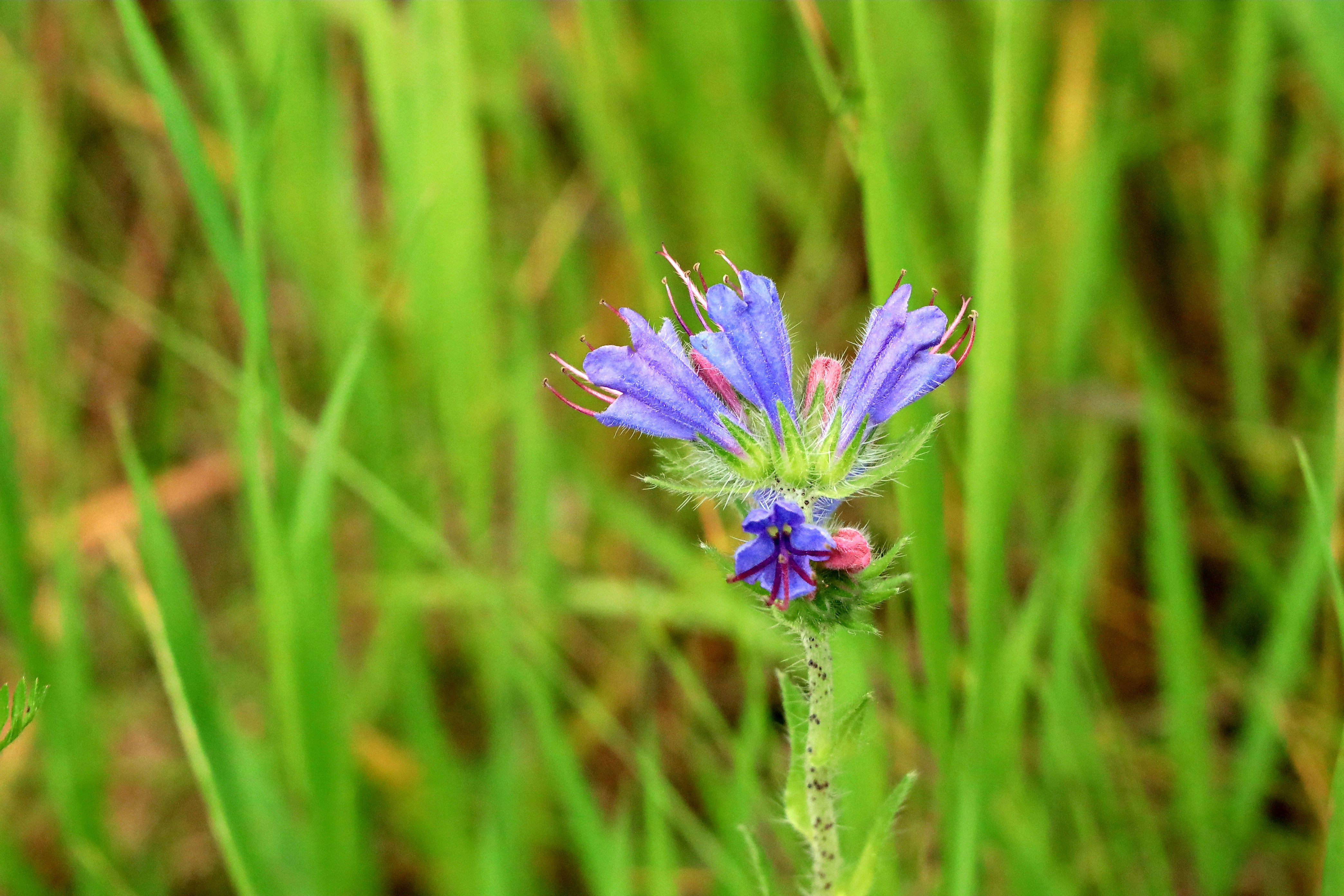 Photo by richardworks