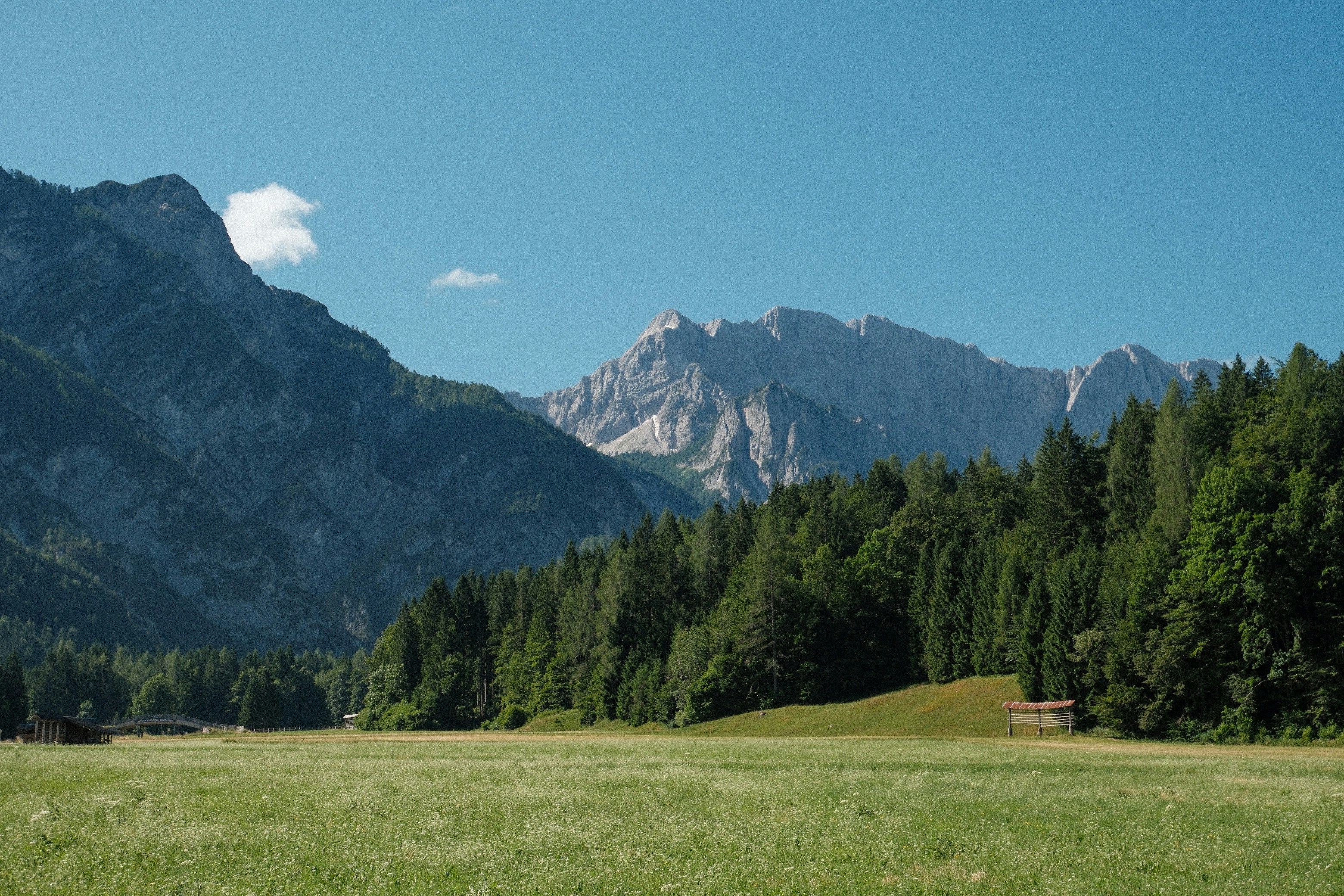 Photo by manca_cadez