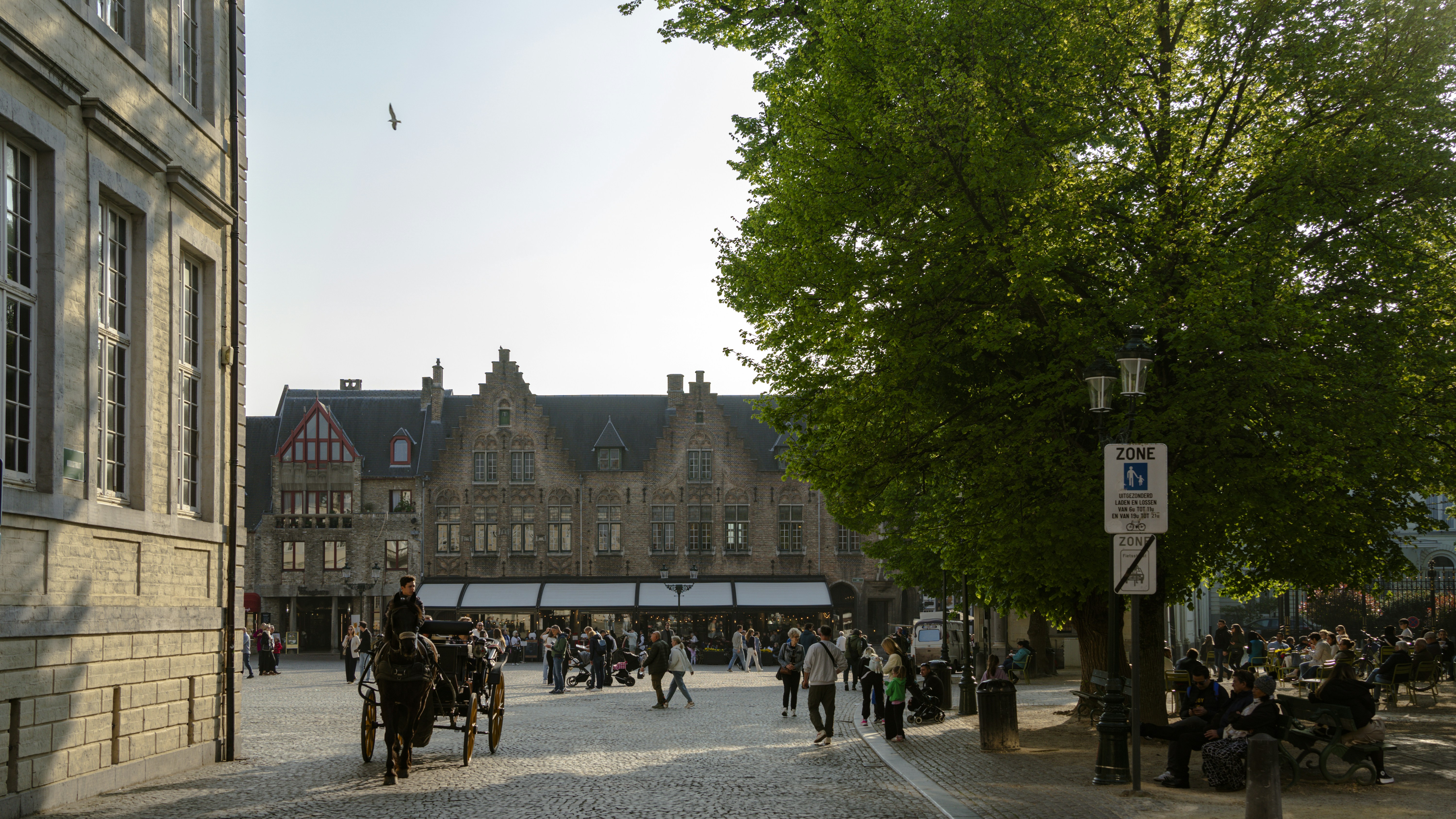 Photo by jeffreyzhang_920