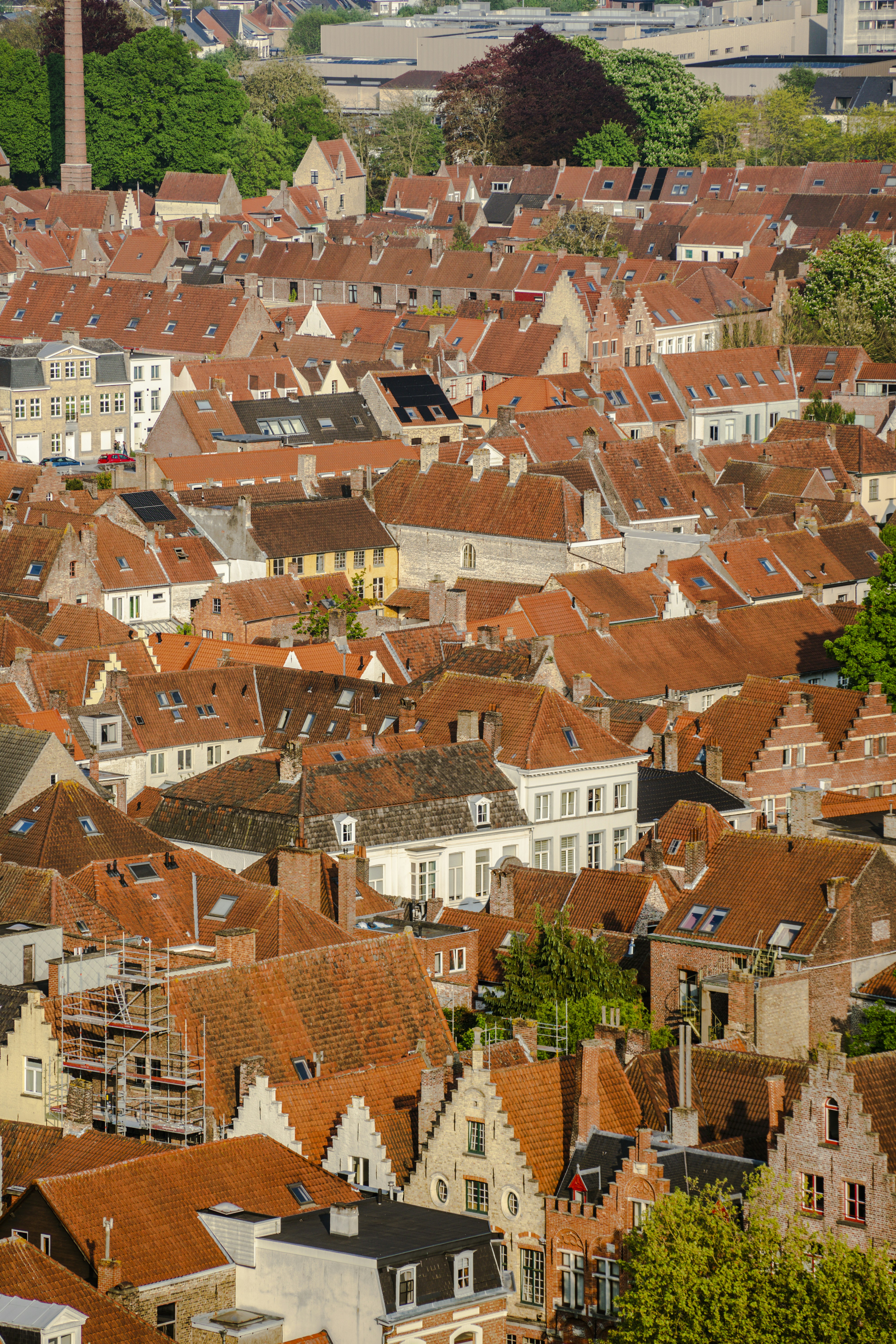 Photo by jeffreyzhang_920