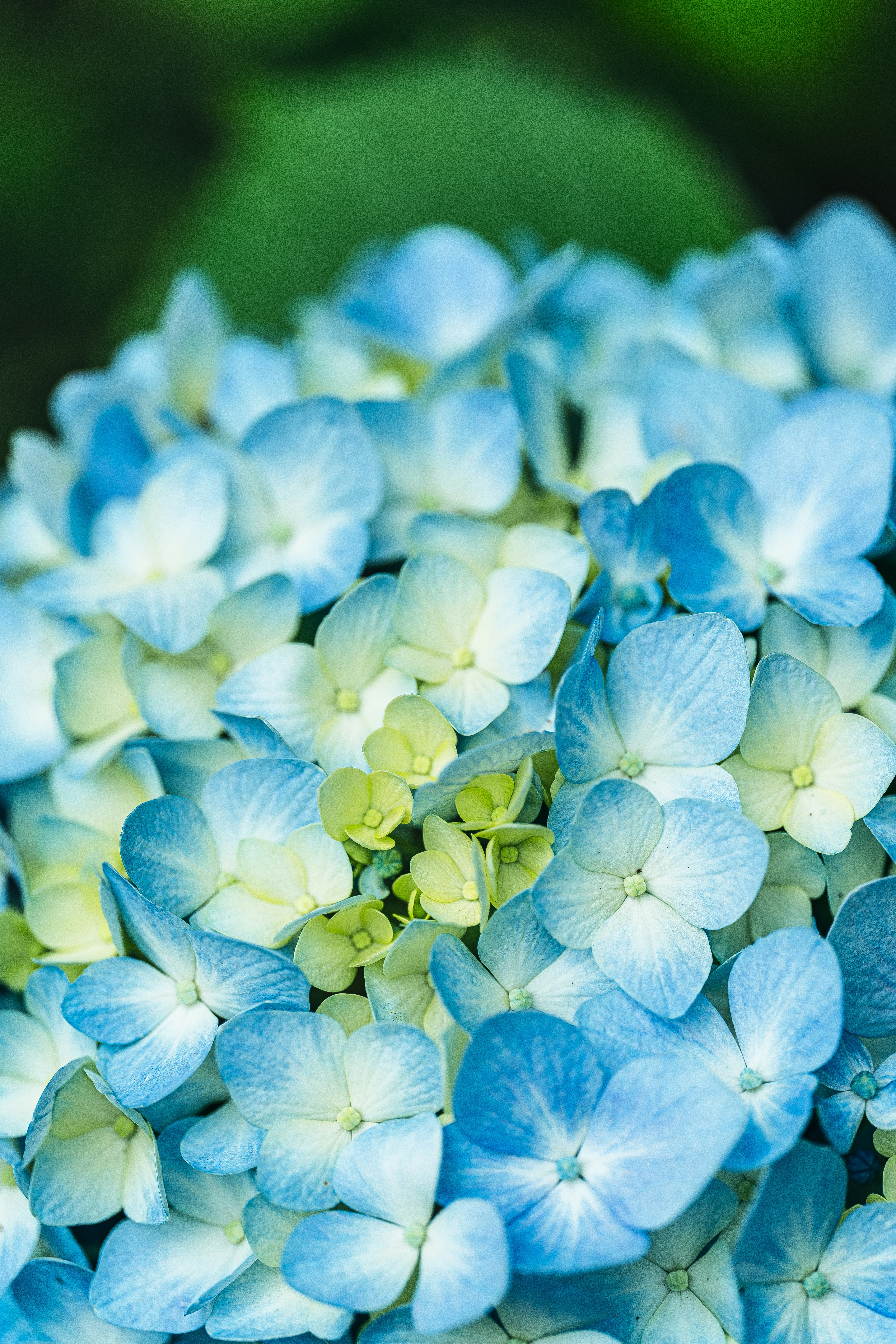 Photo by geraldyscovery