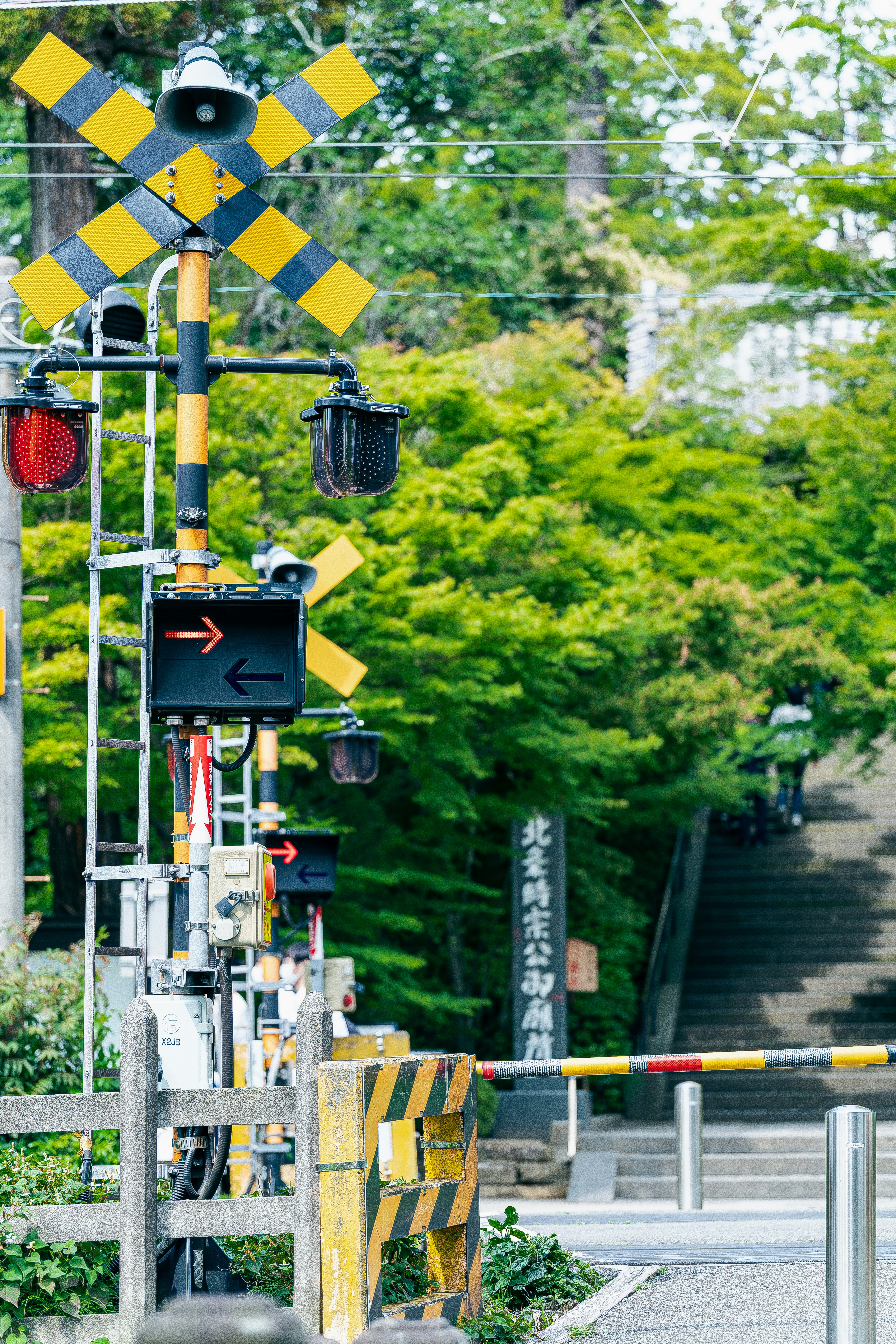 Photo by geraldyscovery