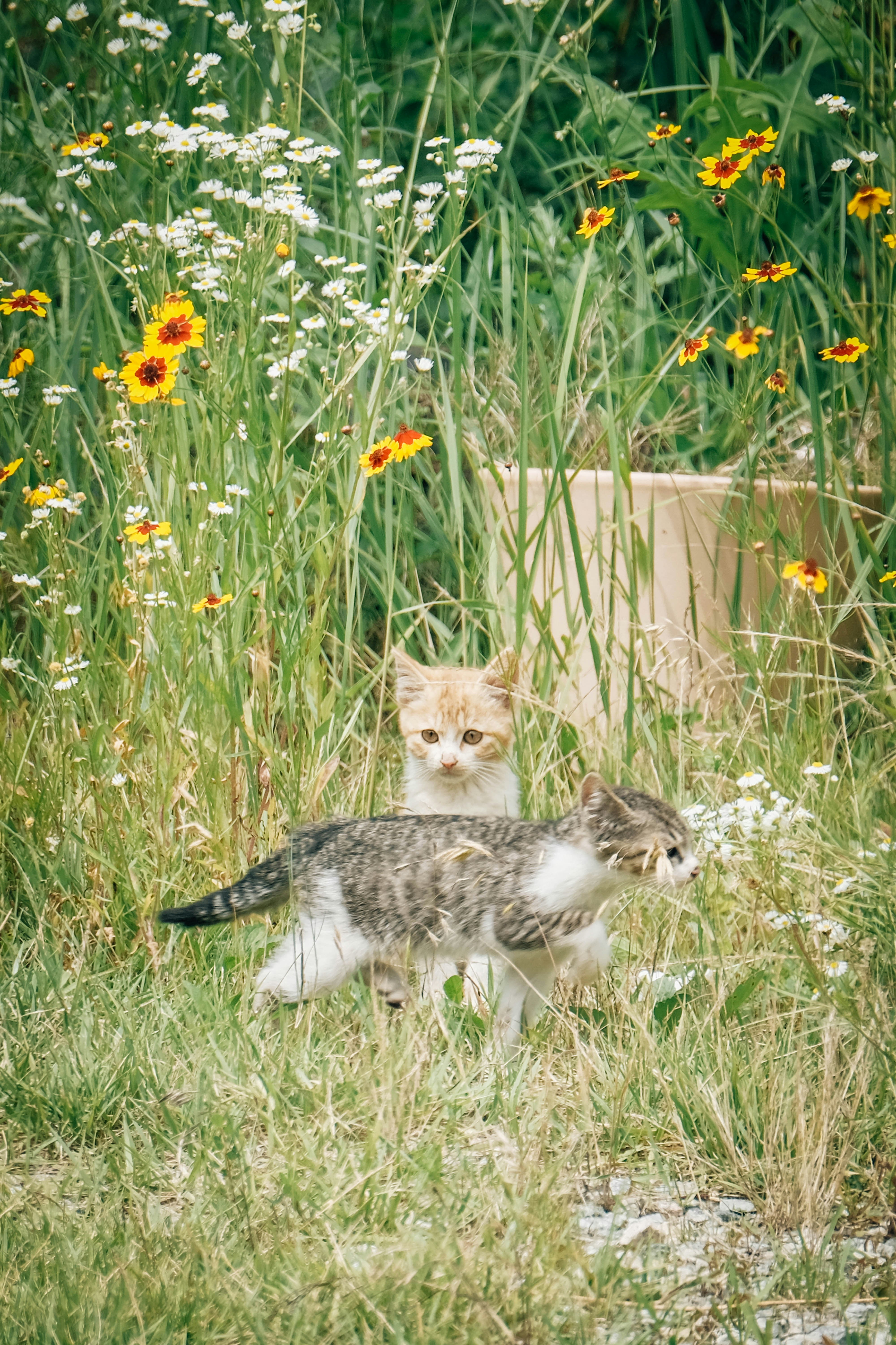 Photo by insungpandora