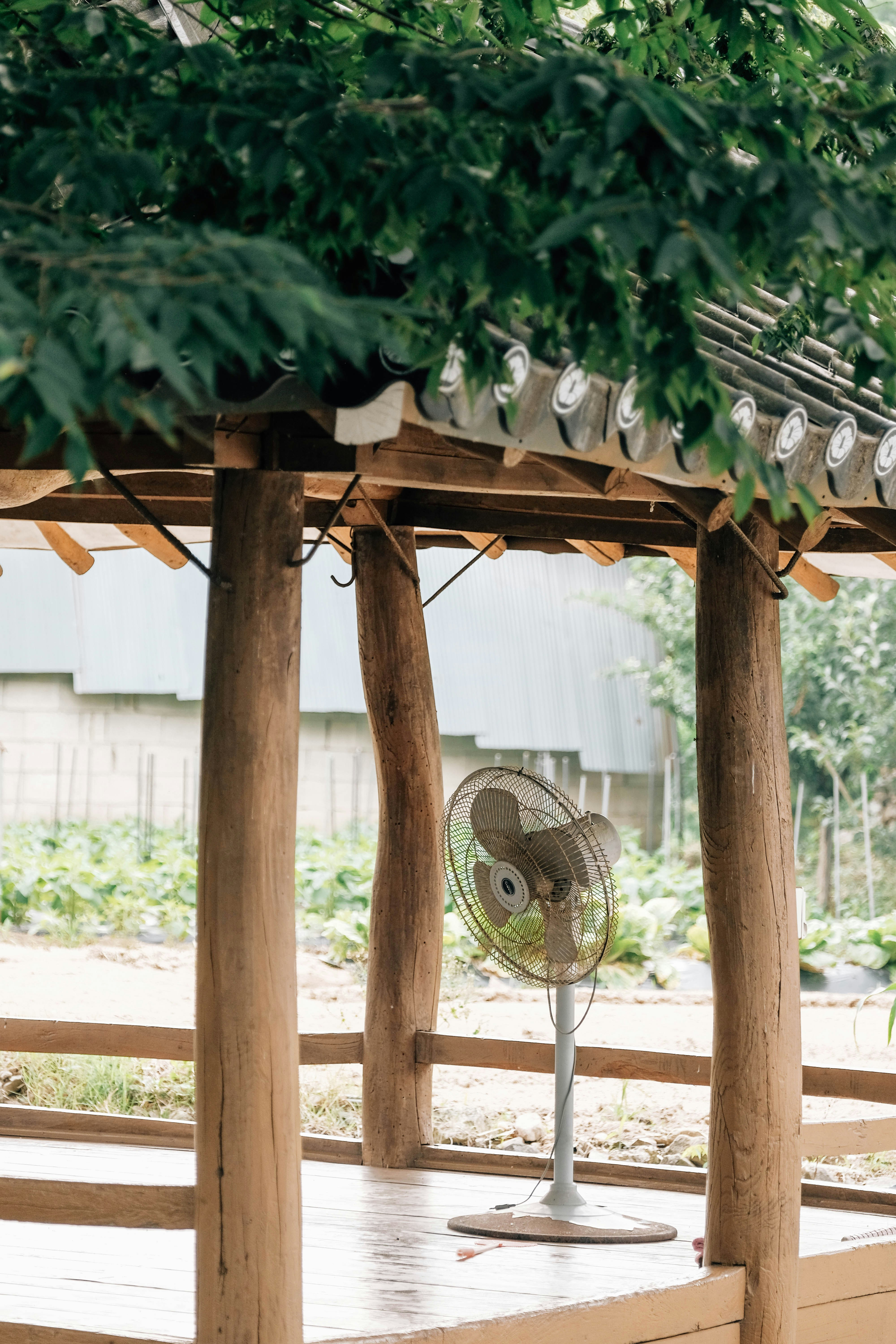 Photo by insungpandora