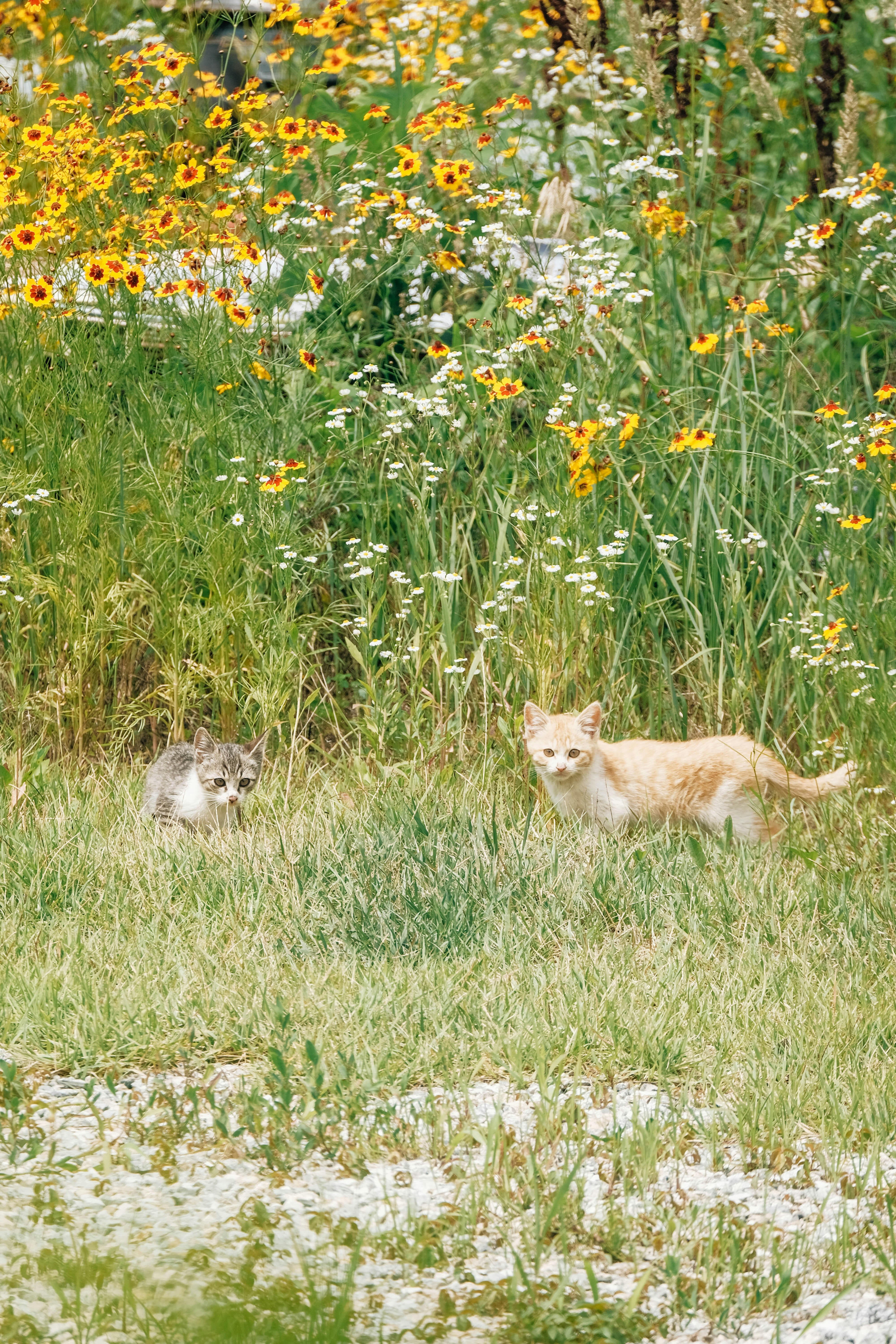 Photo by insungpandora