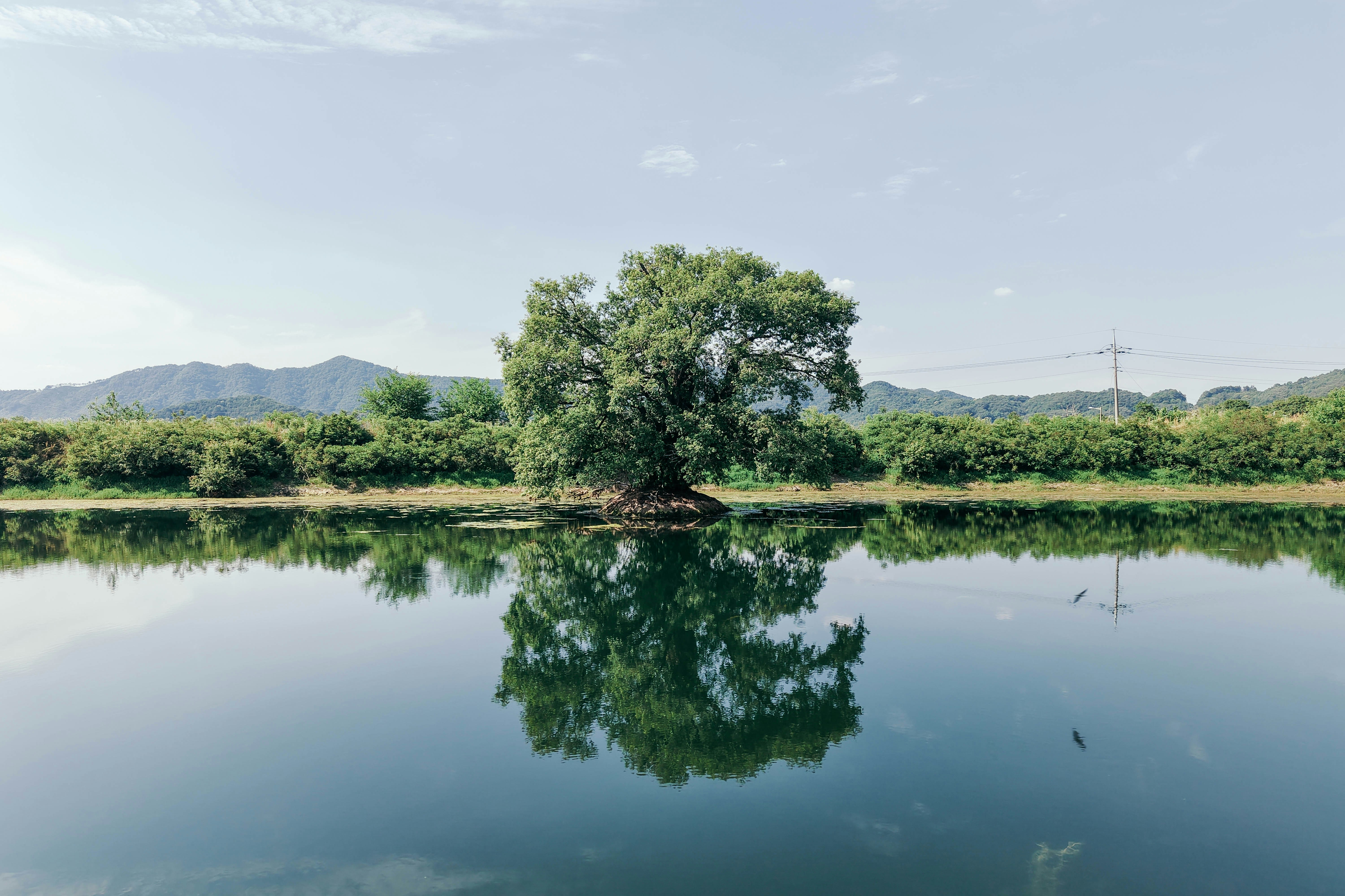 Photo by insungpandora