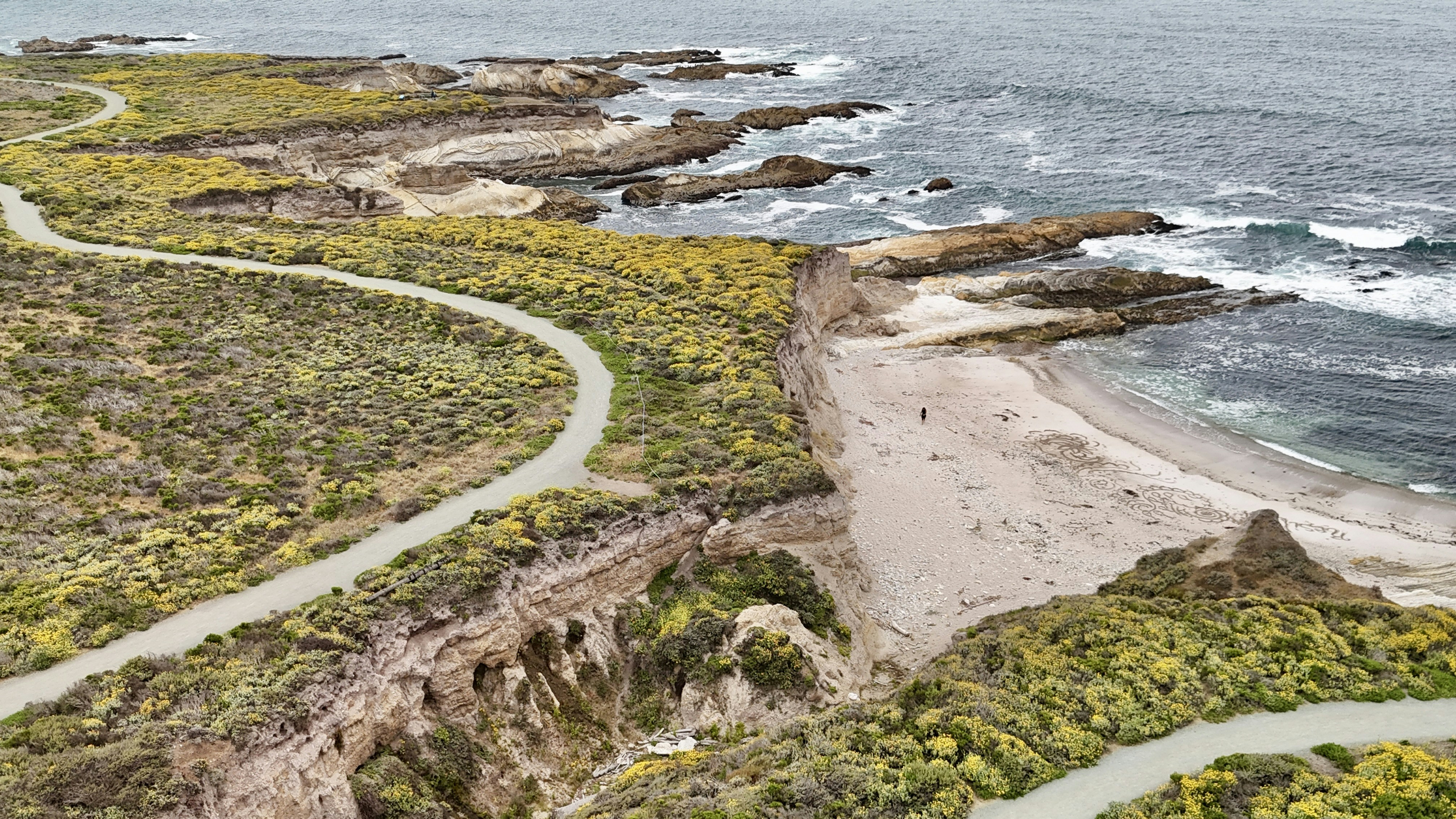 Winding coastal trail