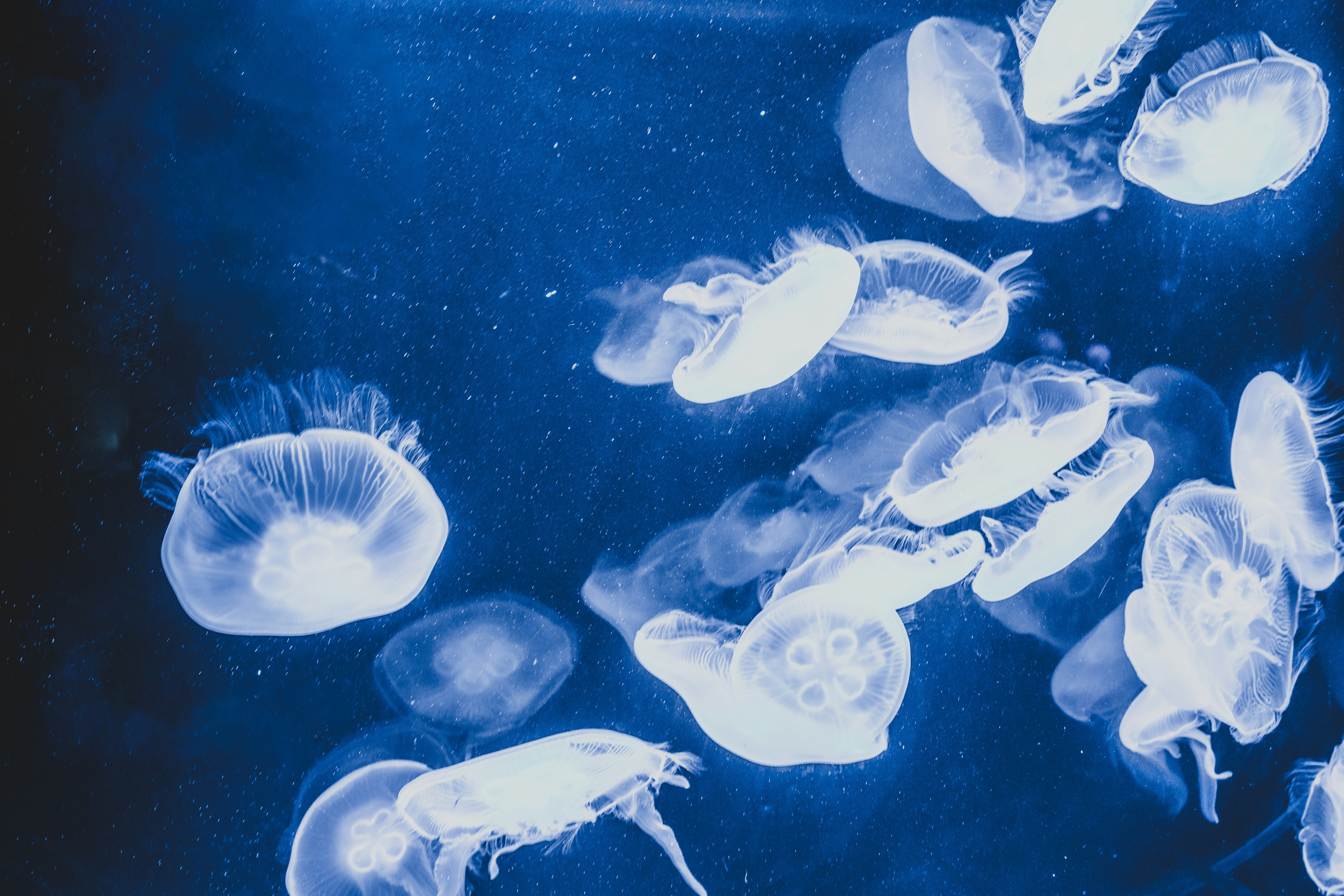 Photo by evannguyen07