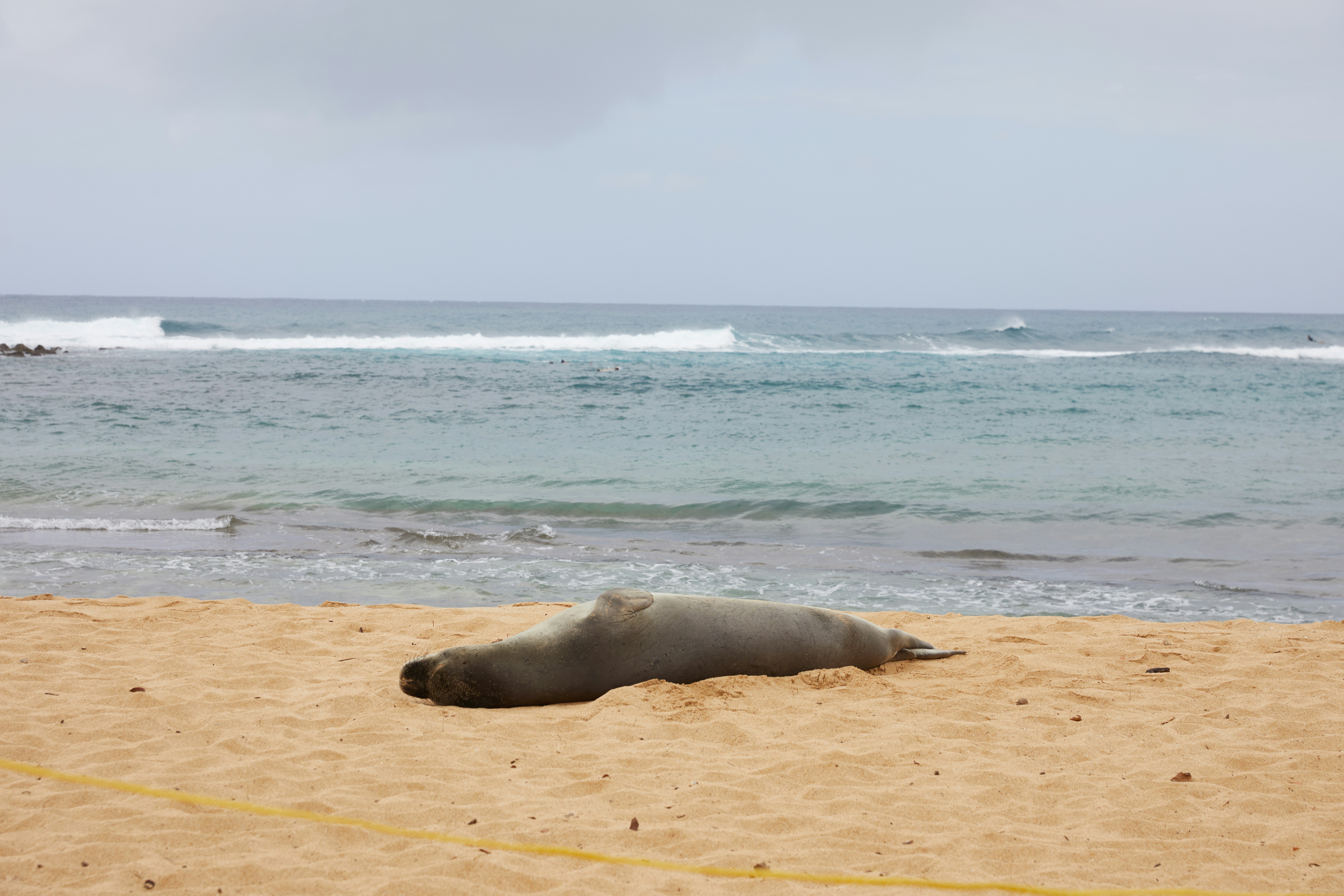 Photo by learnwithjoel