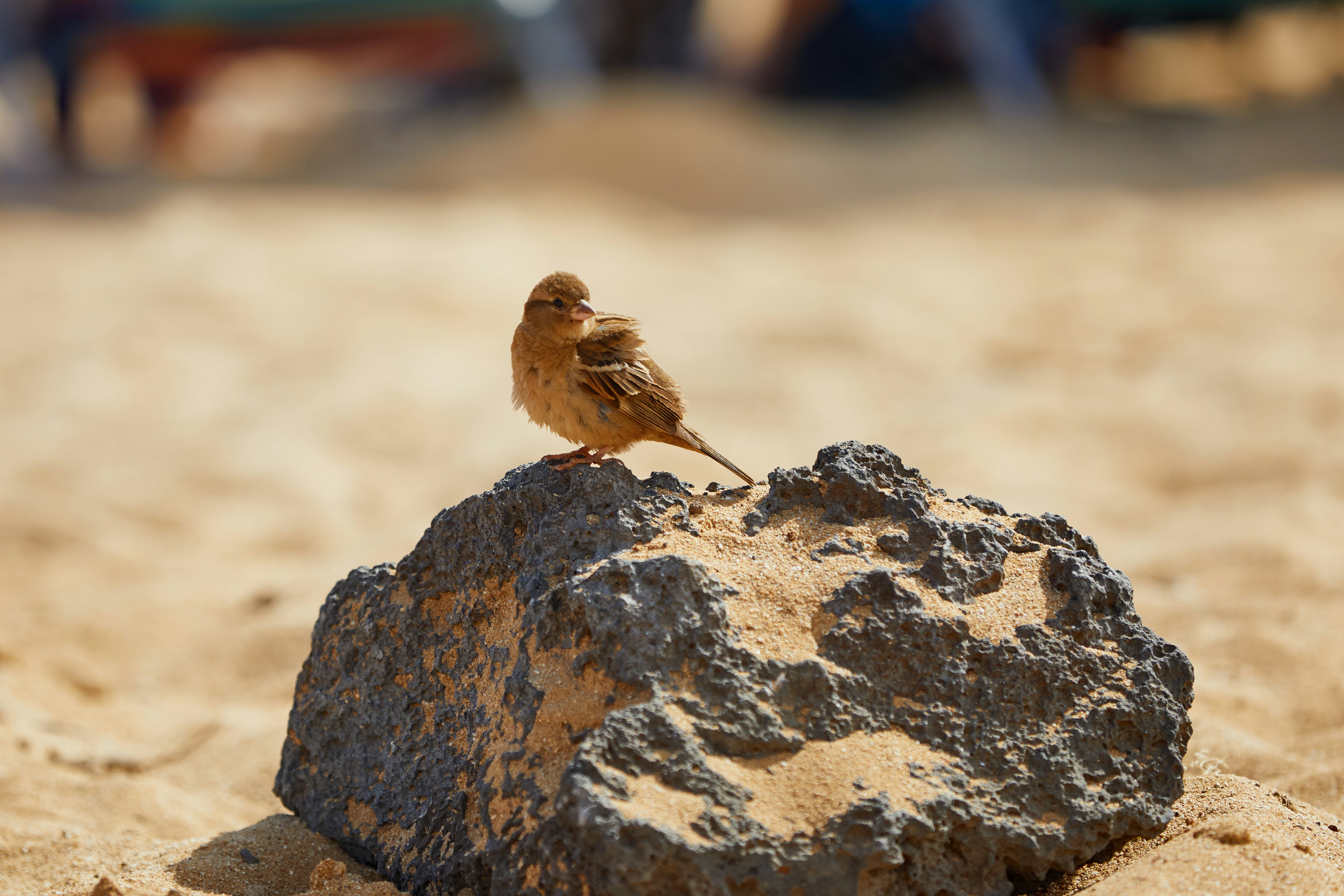 Photo by learnwithjoel