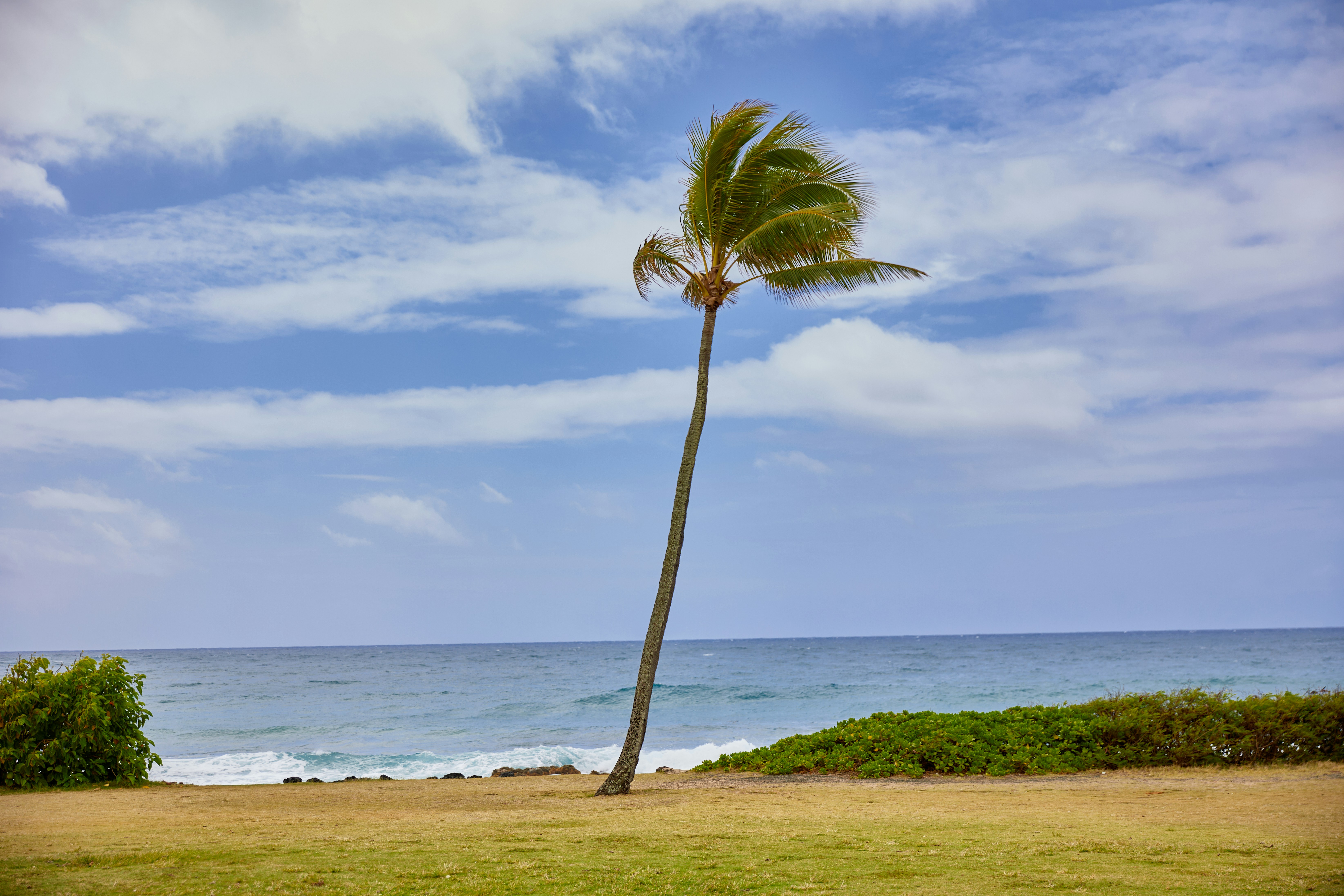 Photo by learnwithjoel