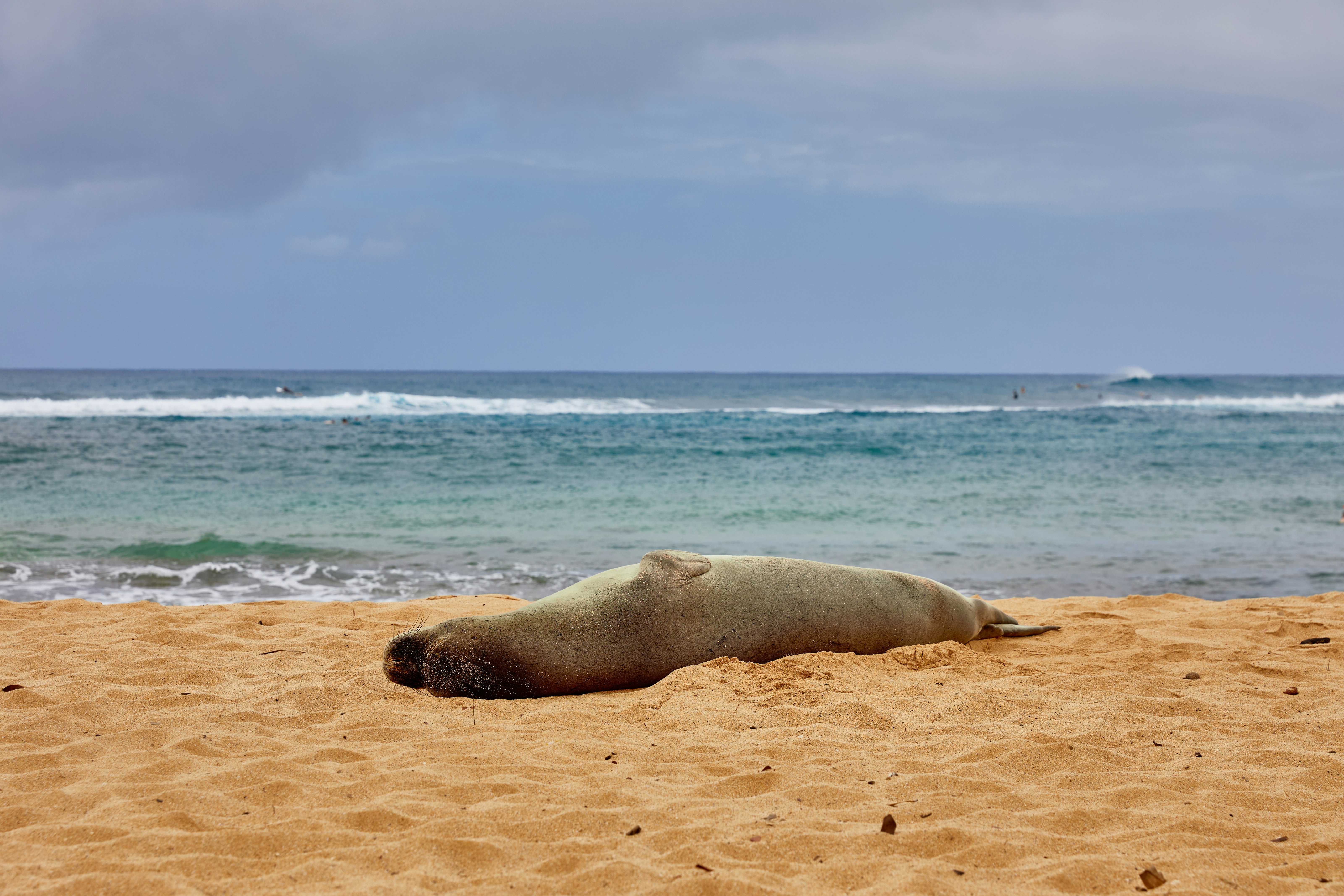 Photo by learnwithjoel