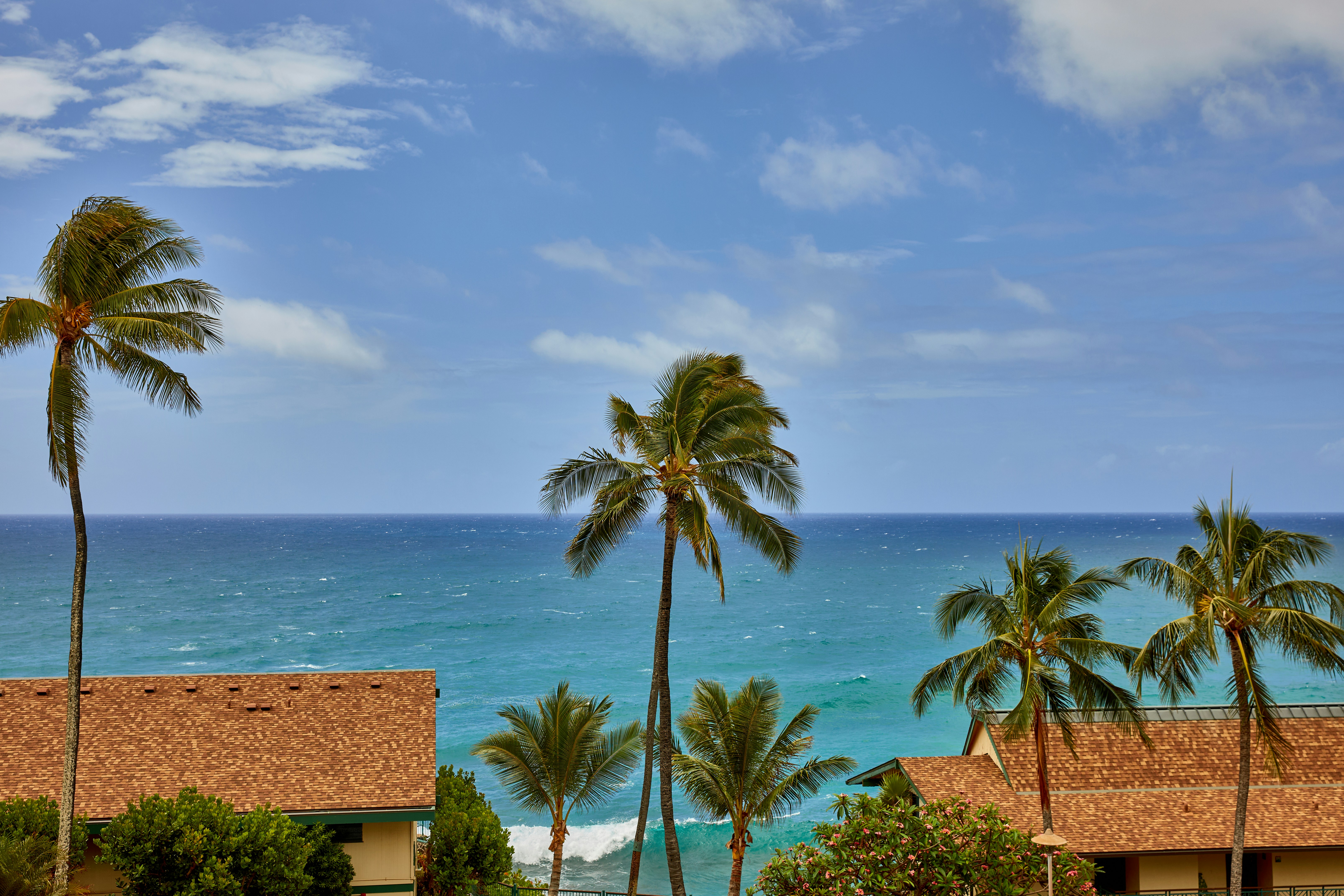 Photo by learnwithjoel