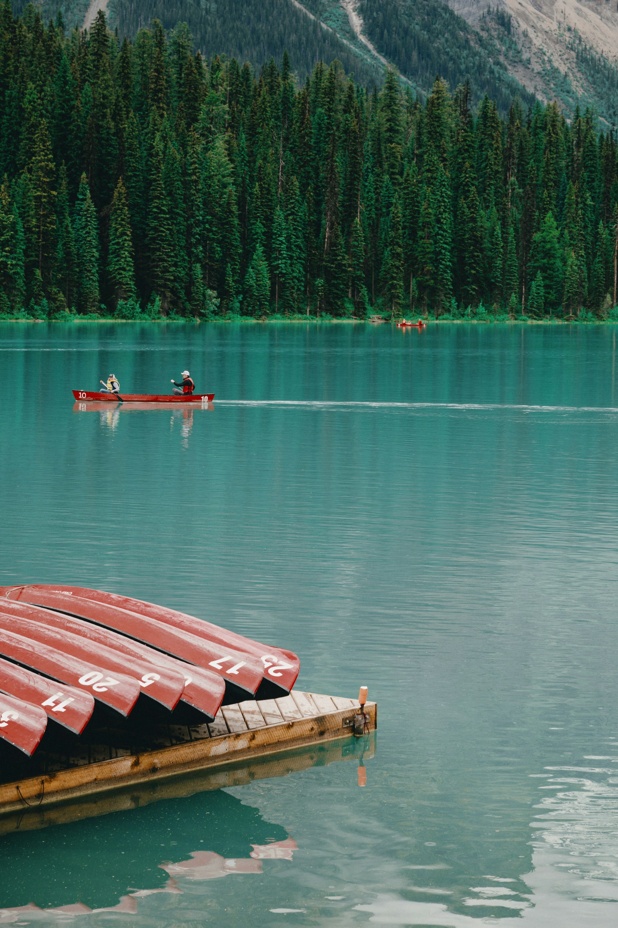 Photo by cedricletsch